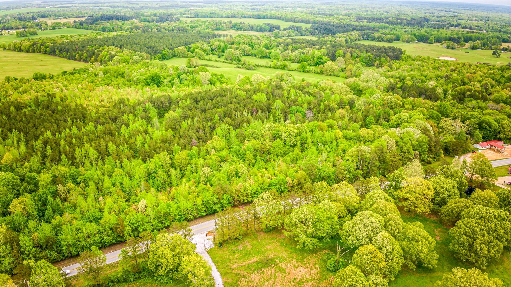Tract 6 Hwy 20, Waterloo, AL 35677 — photo 1