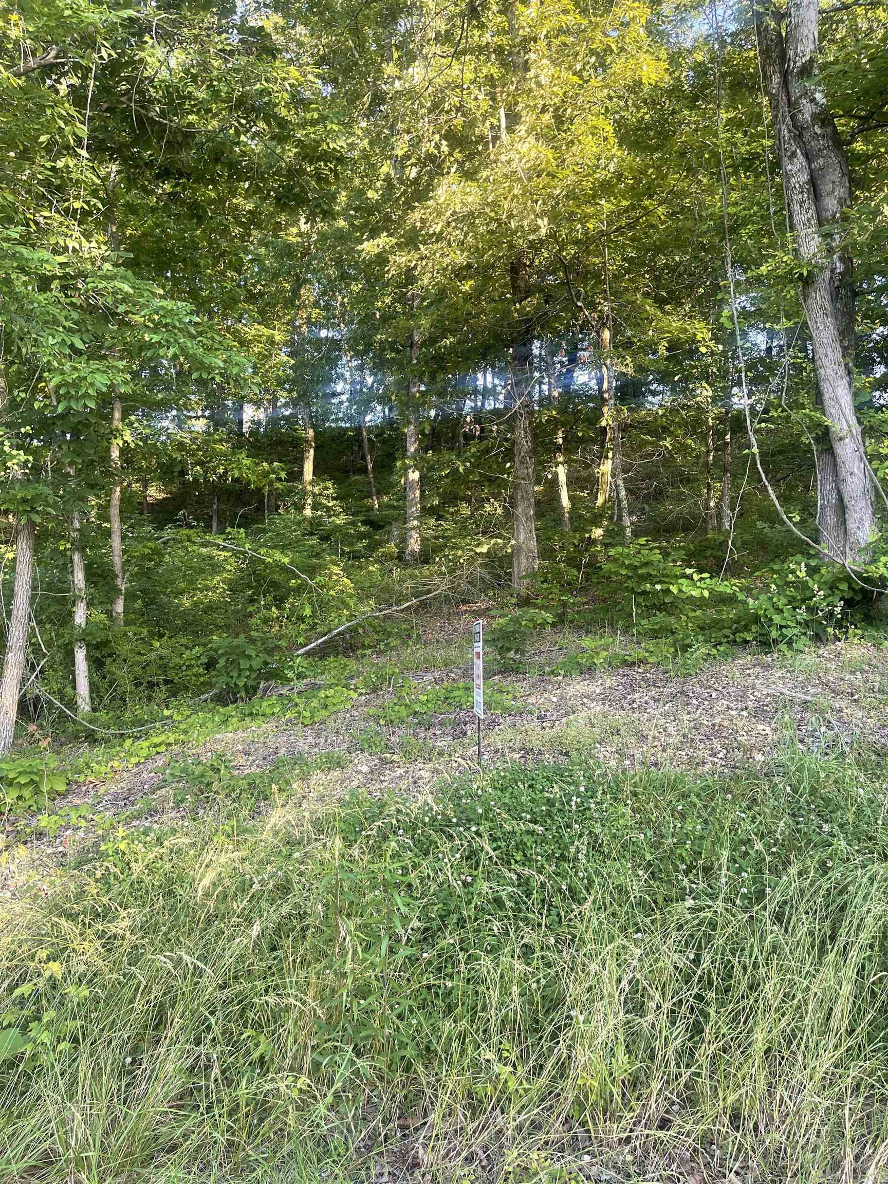LOT 31 Imperial Lp, Cherokee, AL 35616 — photo 4