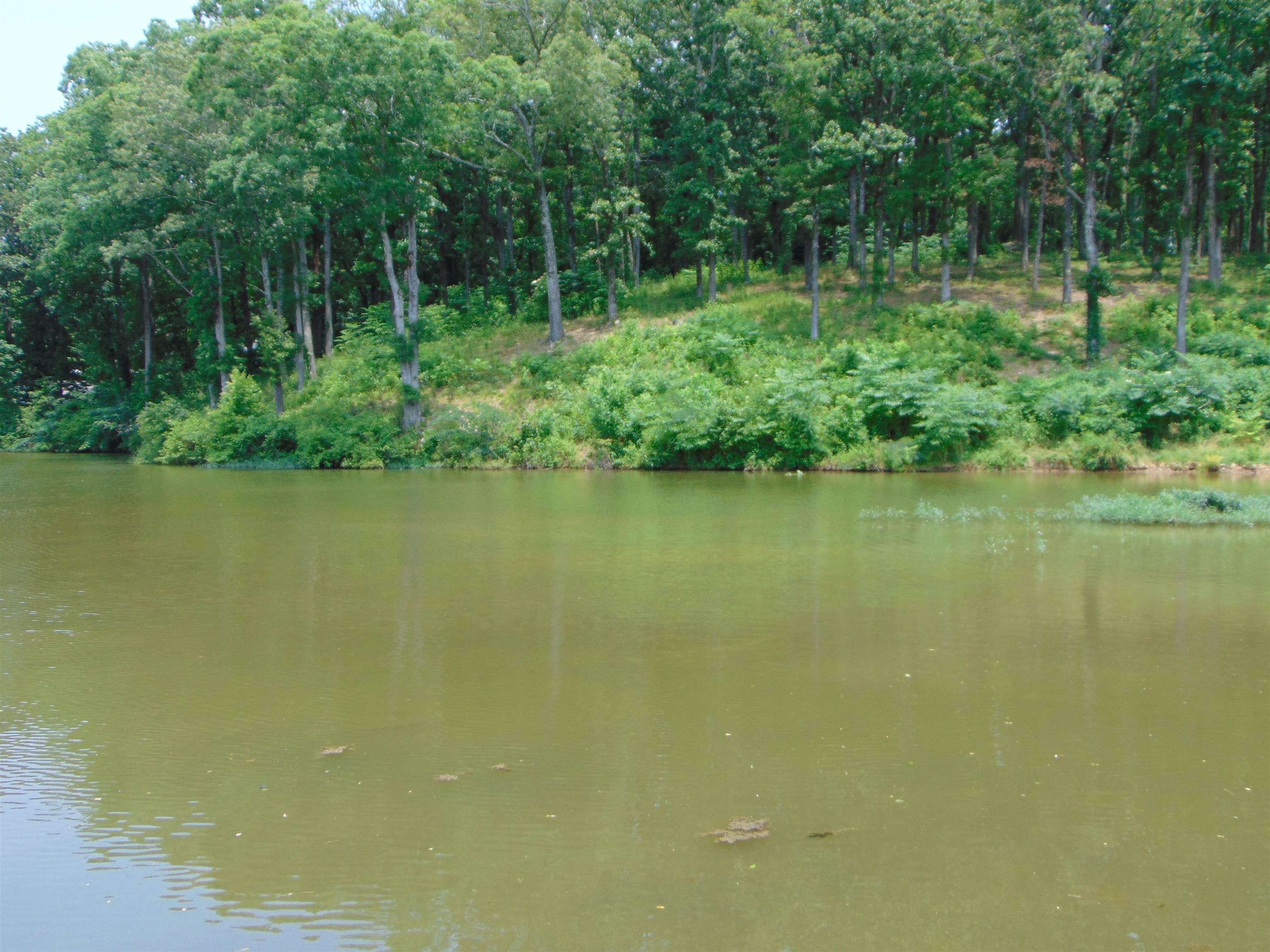 001 Wilson Lake Shores Rd, Muscle Shoals, AL 35661 — photo 5