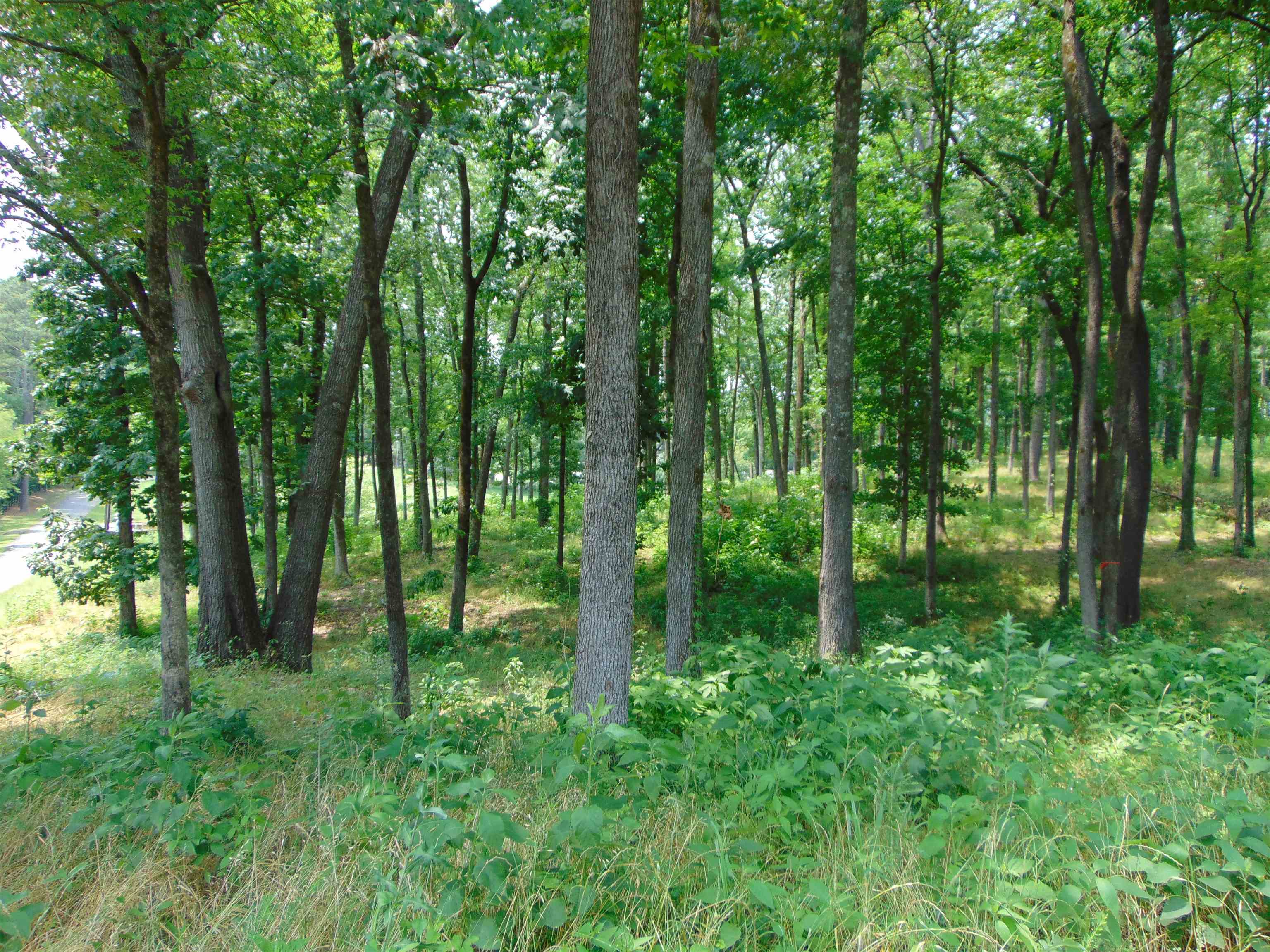 004 Wilson Lake Shores Rd, Muscle Shoals, AL 35661 — photo 7