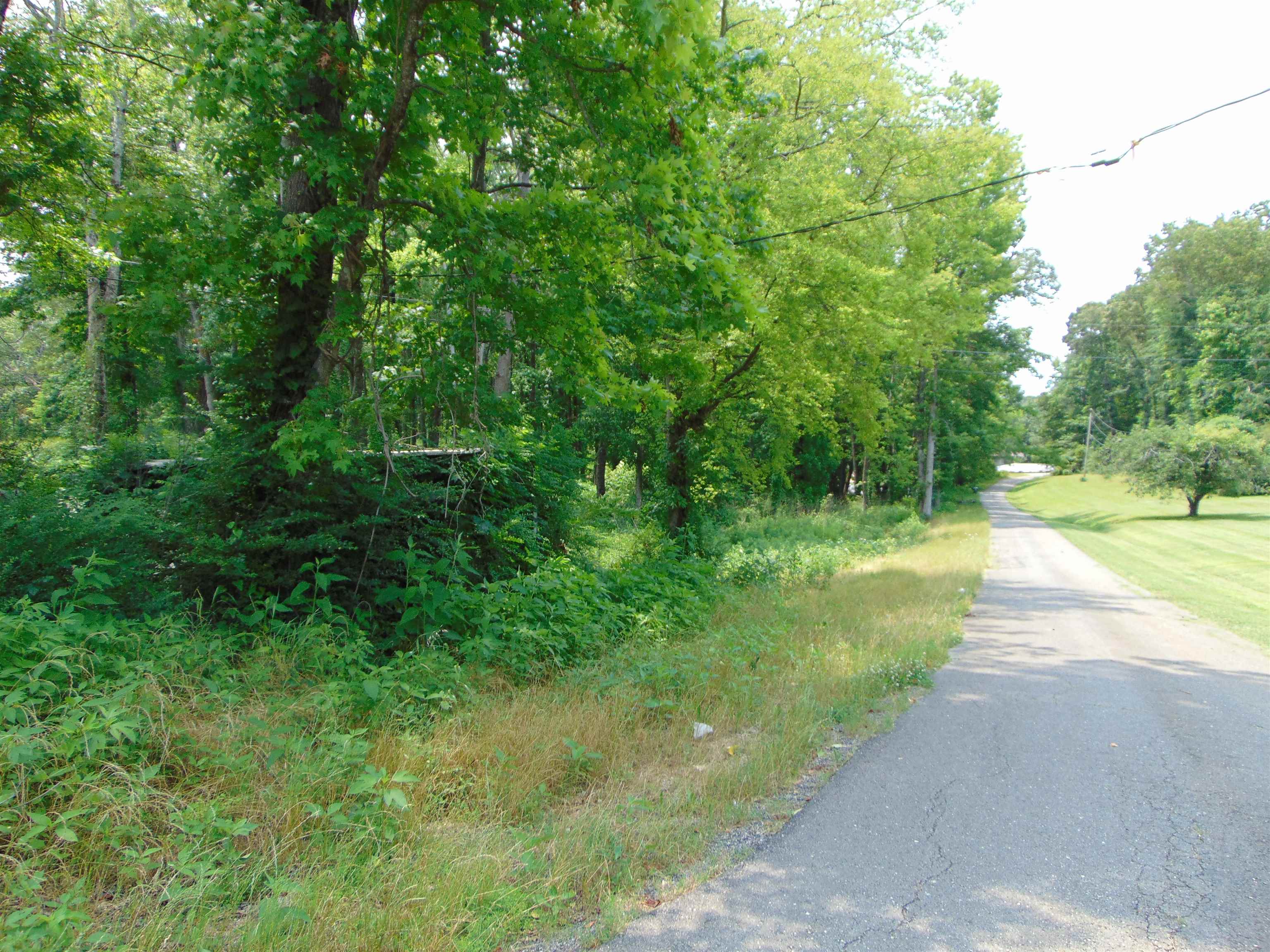 005 Wilson Lake Shores Rd, Muscle Shoals, AL 35661 — photo 12