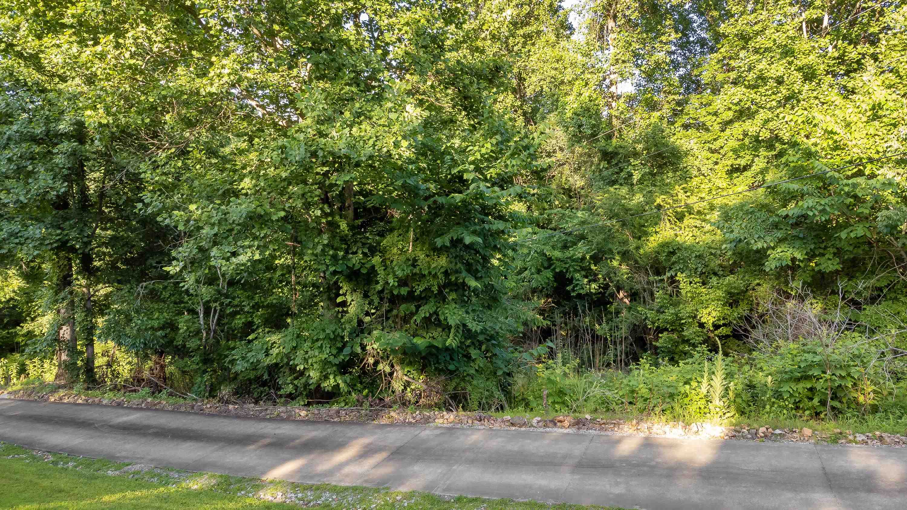 157 Shoals Overlook Dr, Florence, AL 35634 — photo 2