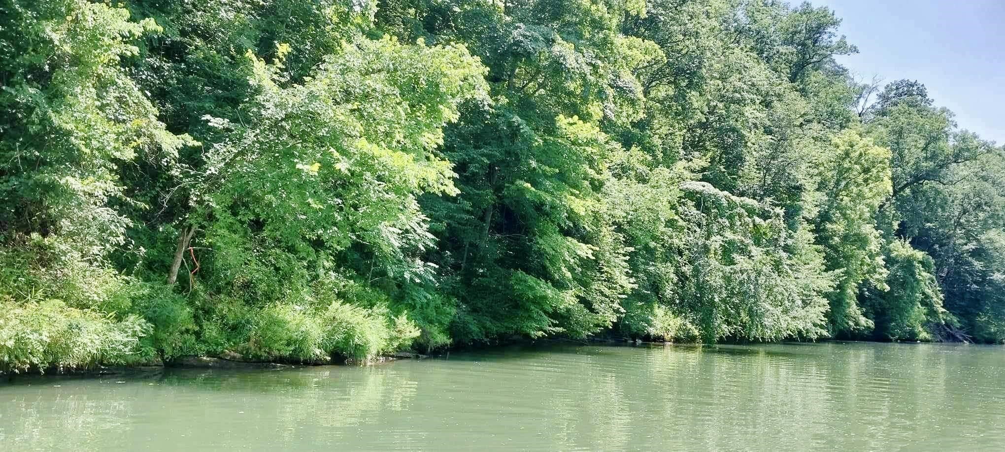 157 Shoals Overlook Dr, Florence, AL 35634 — photo 12