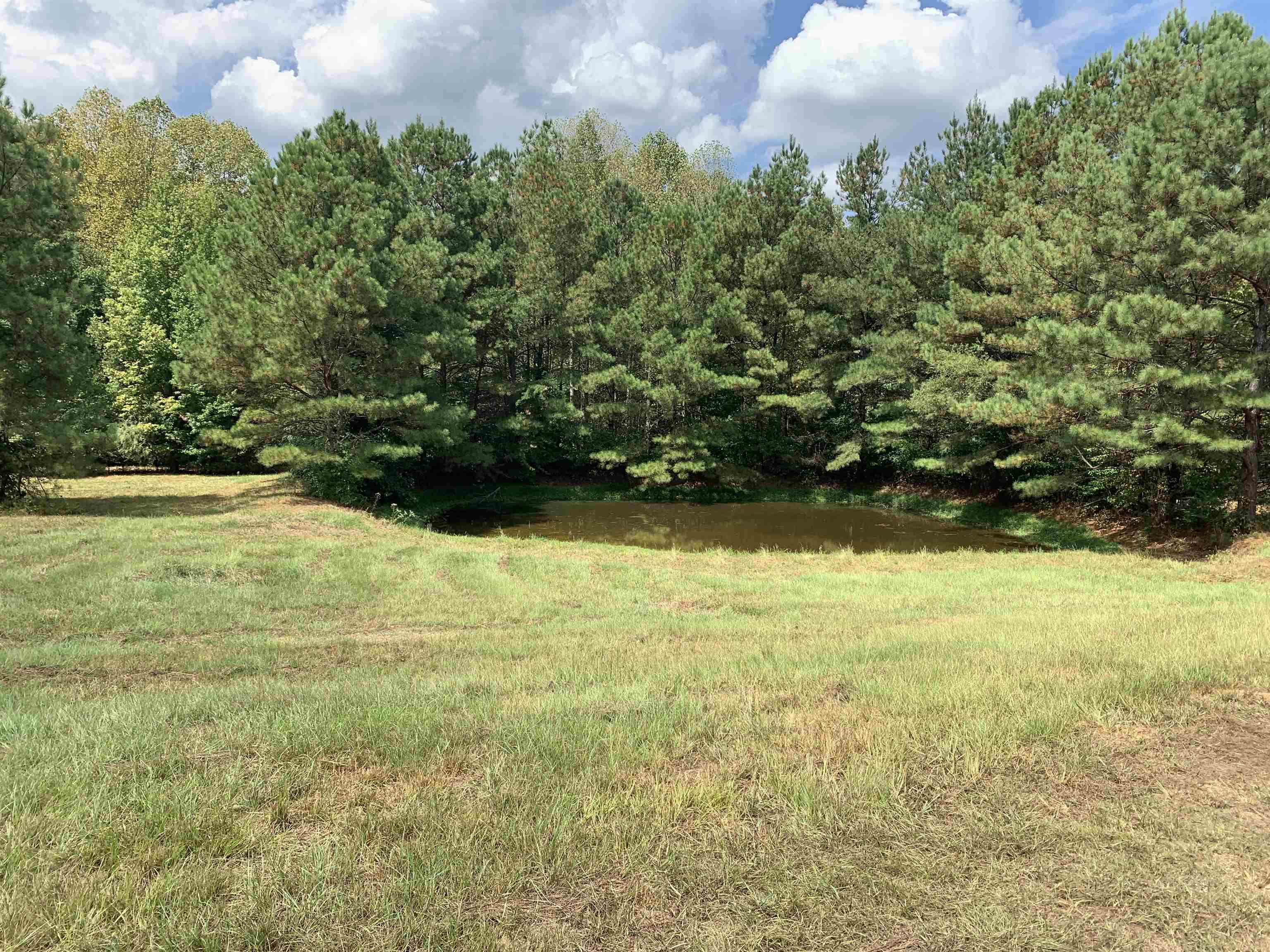 0 Co Rd 51