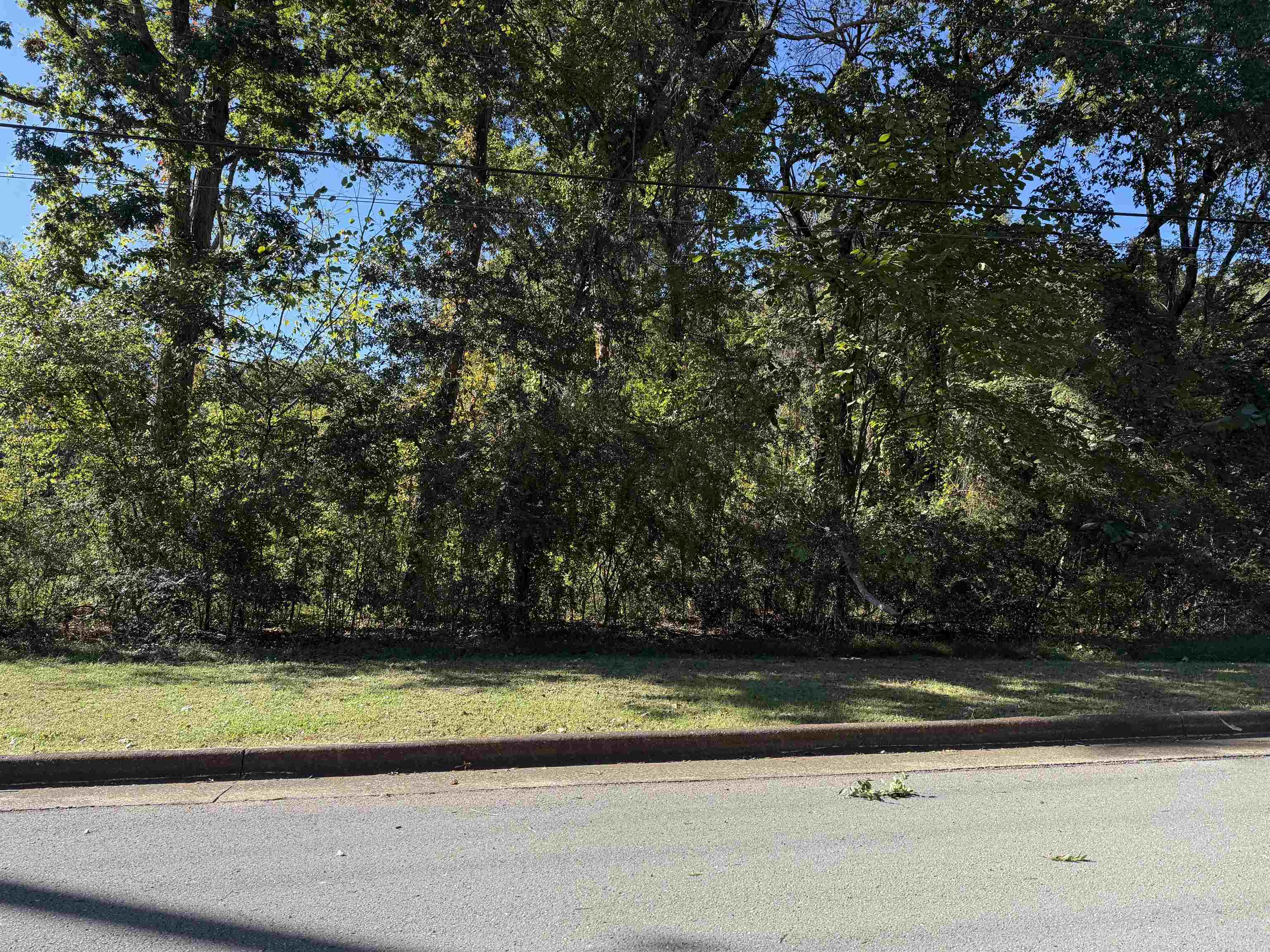 LOT 33 Pickwick St, Sheffield, AL 35660 — photo 1
