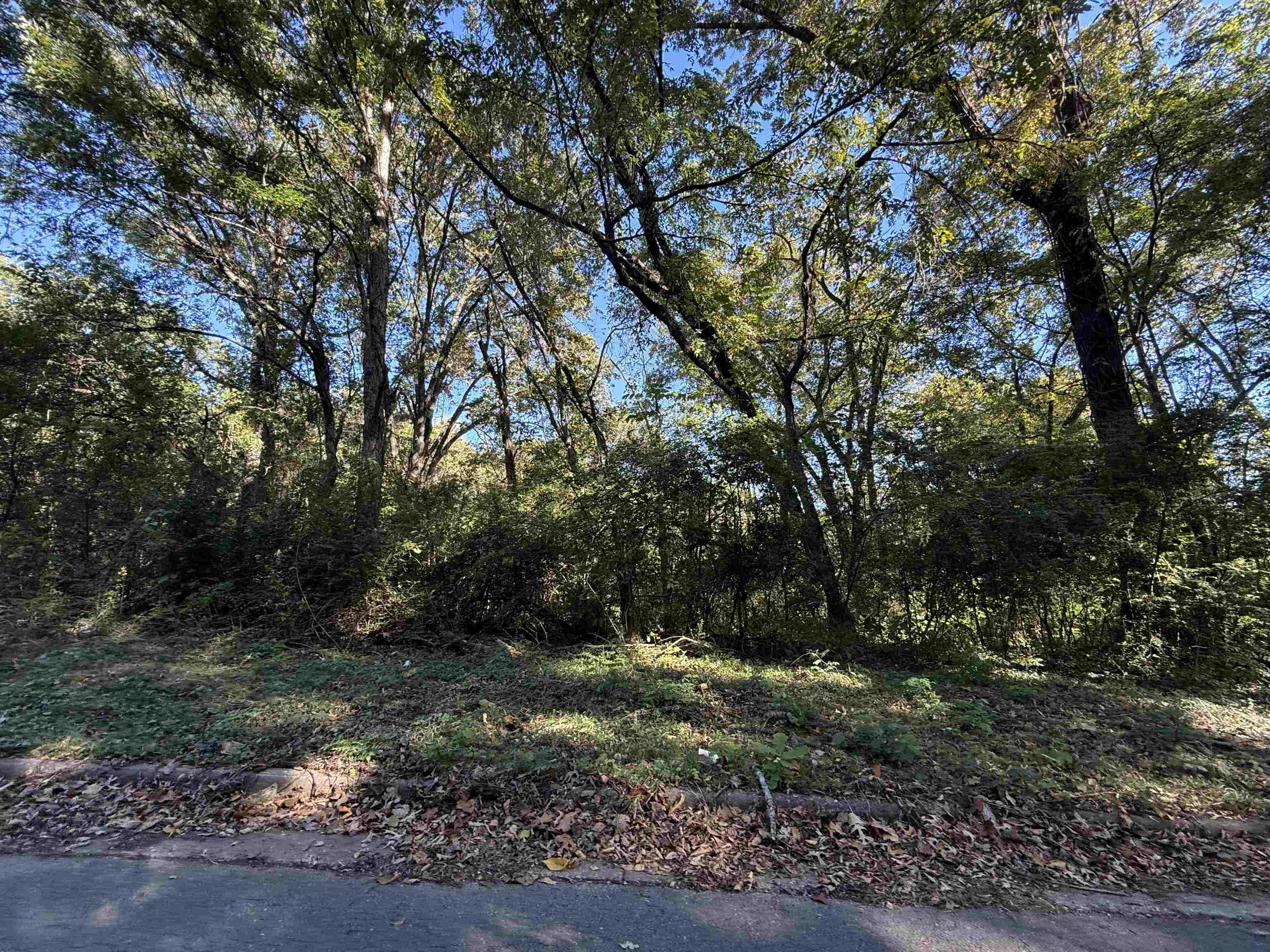 LOT 5 Oakhill Ave, Sheffield, AL 35660 — photo 1