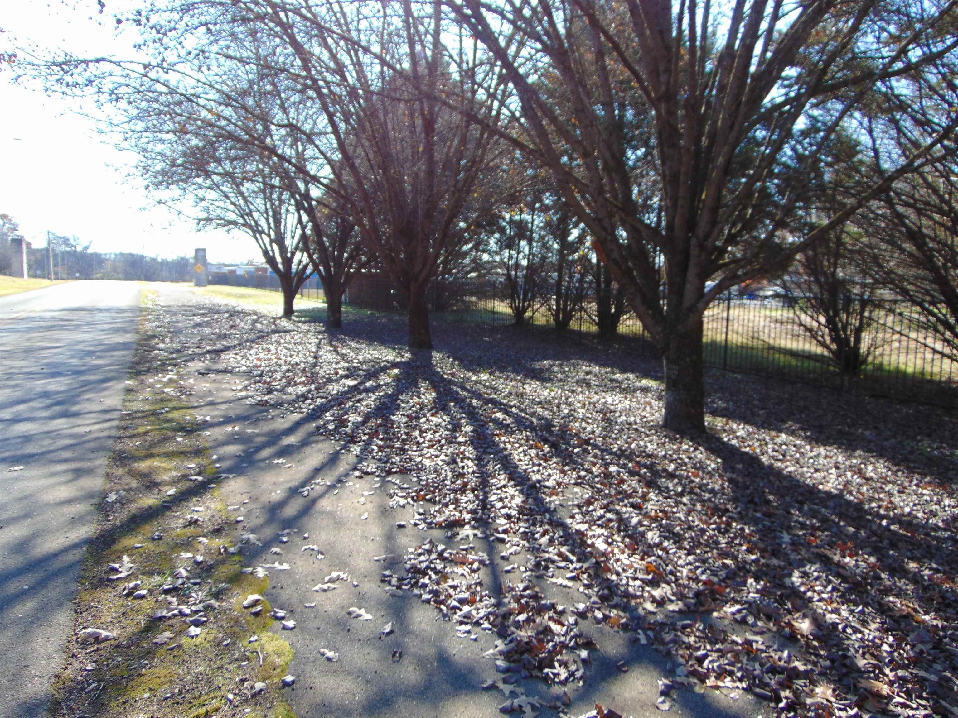 2000 Alabama Ave, Sheffield, AL 35660 — photo 1
