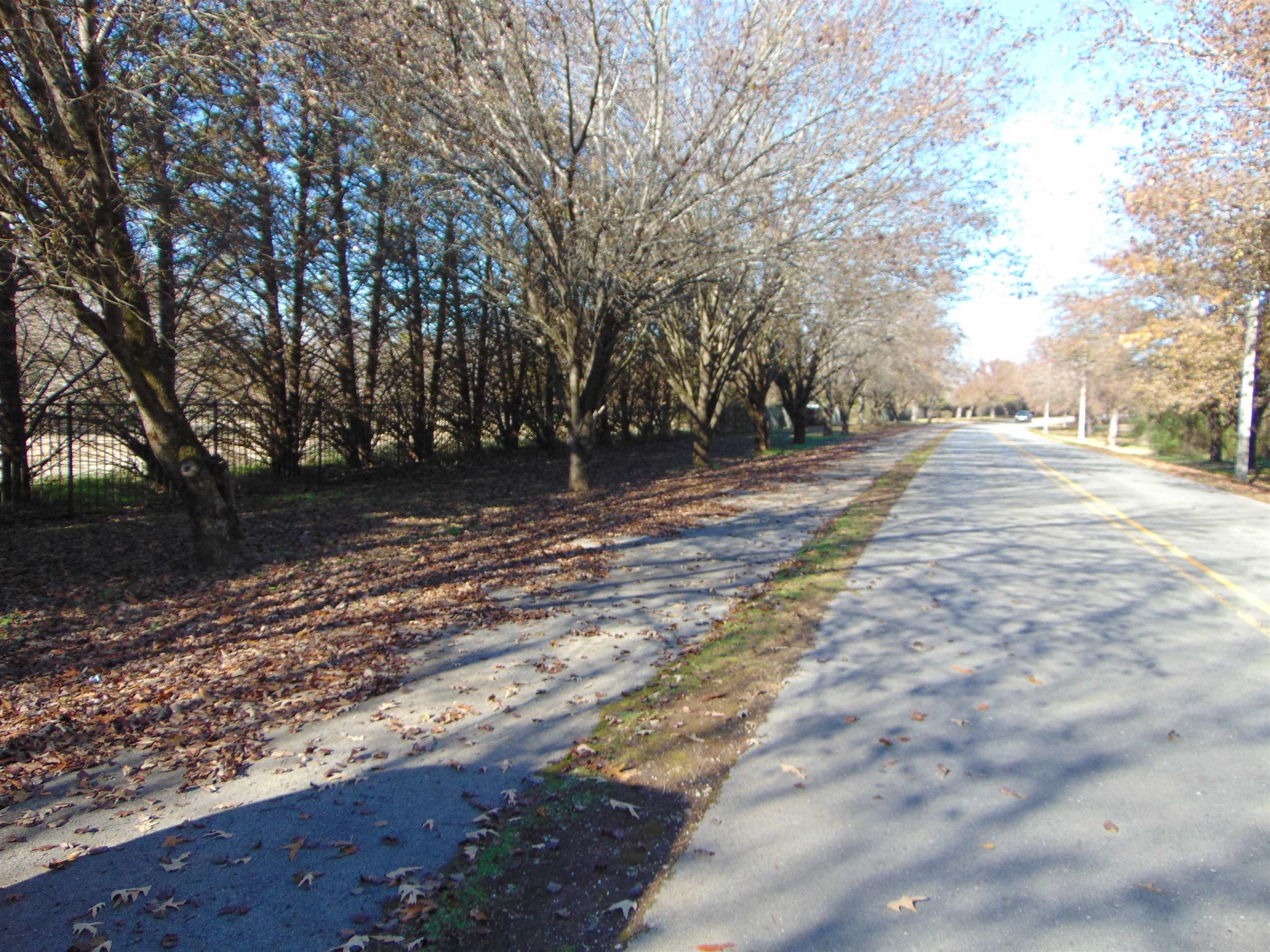 2000 Alabama Ave, Sheffield, AL 35660 — photo 2