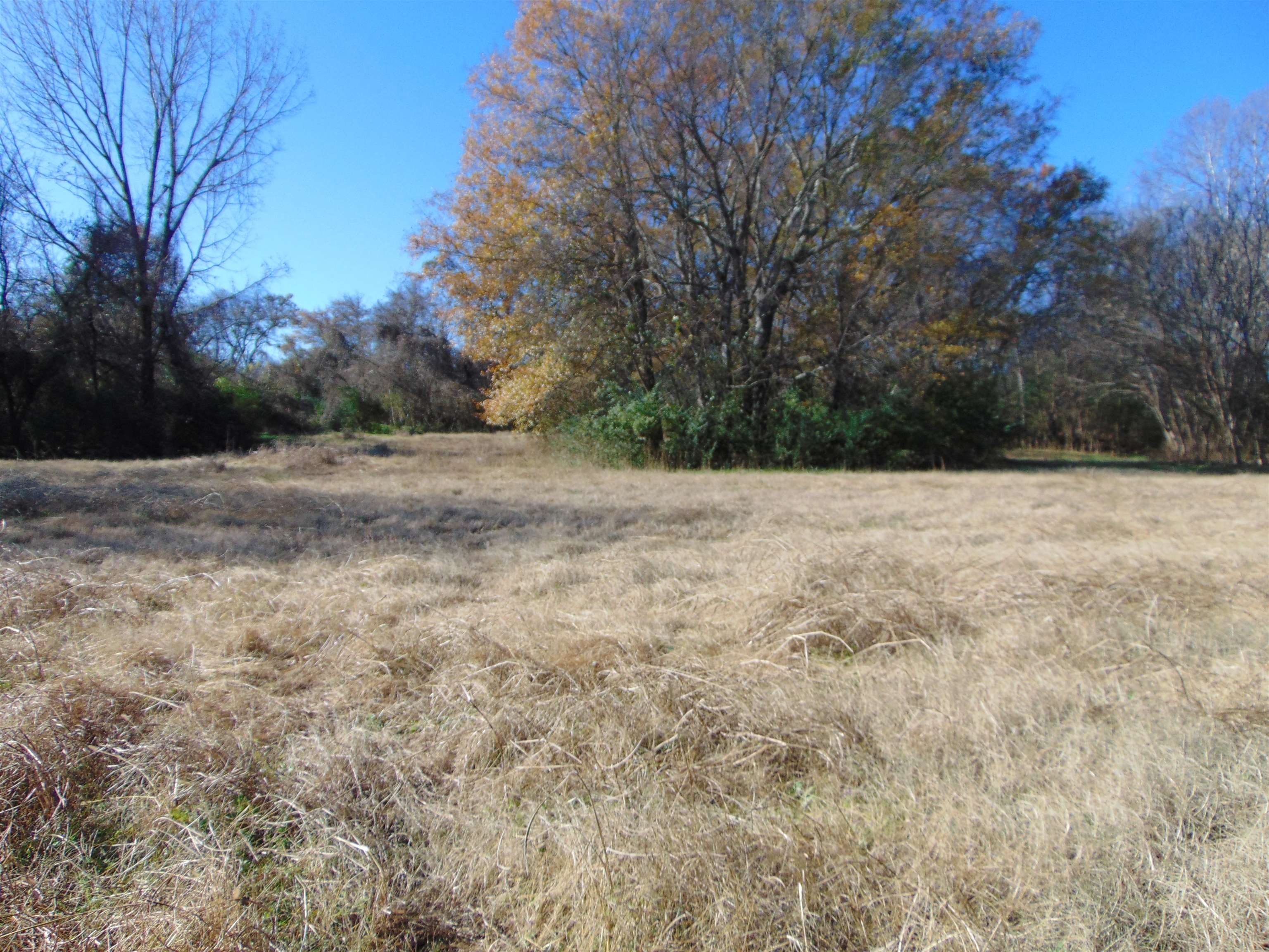 2000 Alabama Ave, Sheffield, AL 35660 — photo 4