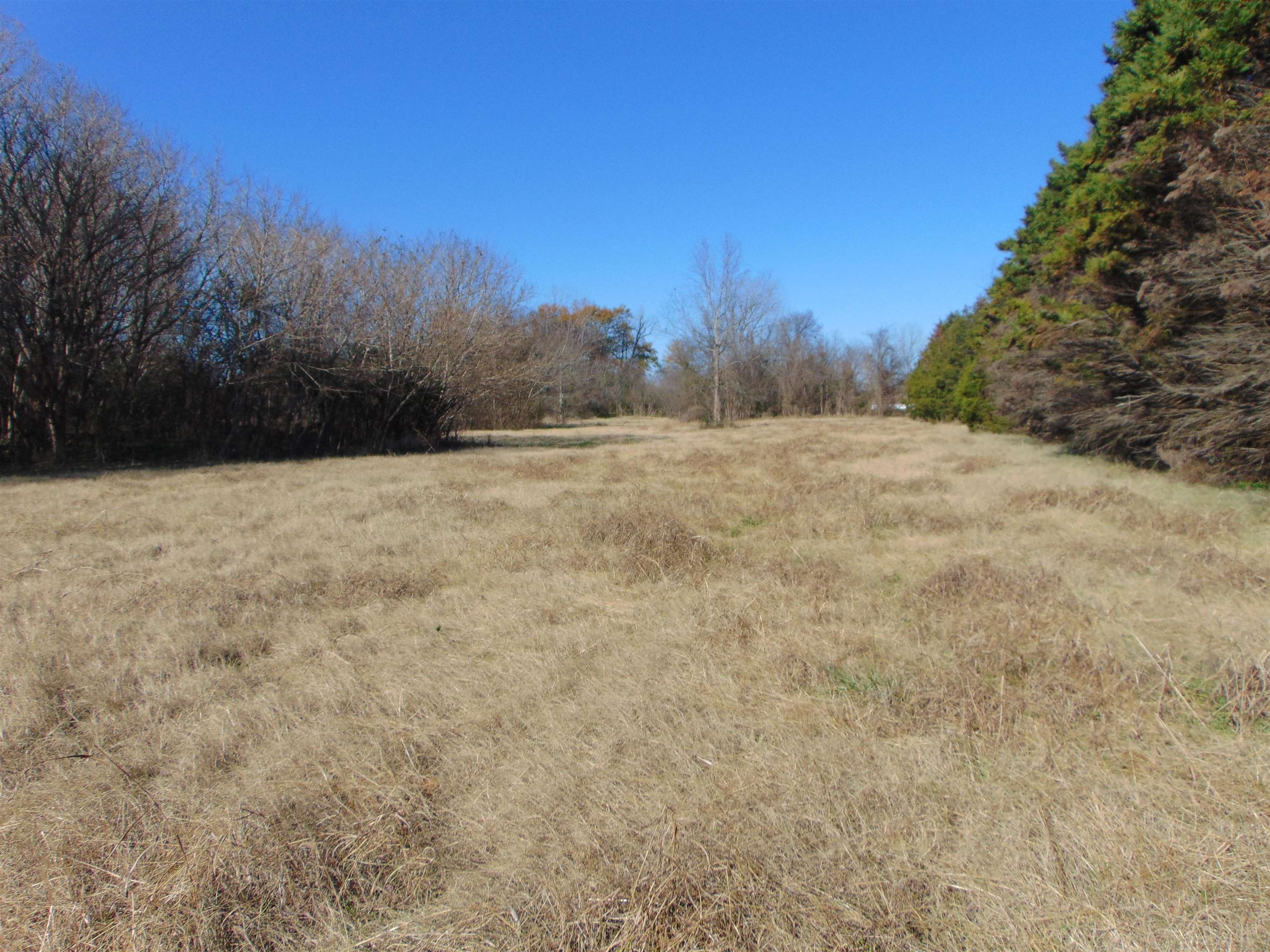 2000 Alabama Ave, Sheffield, AL 35660 — photo 7