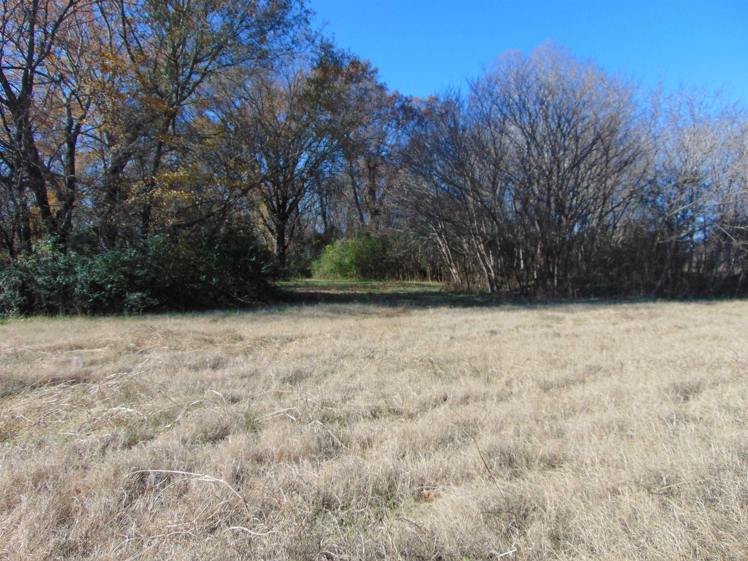 2002 Alabama Ave, Sheffield, AL 35660 — photo 1