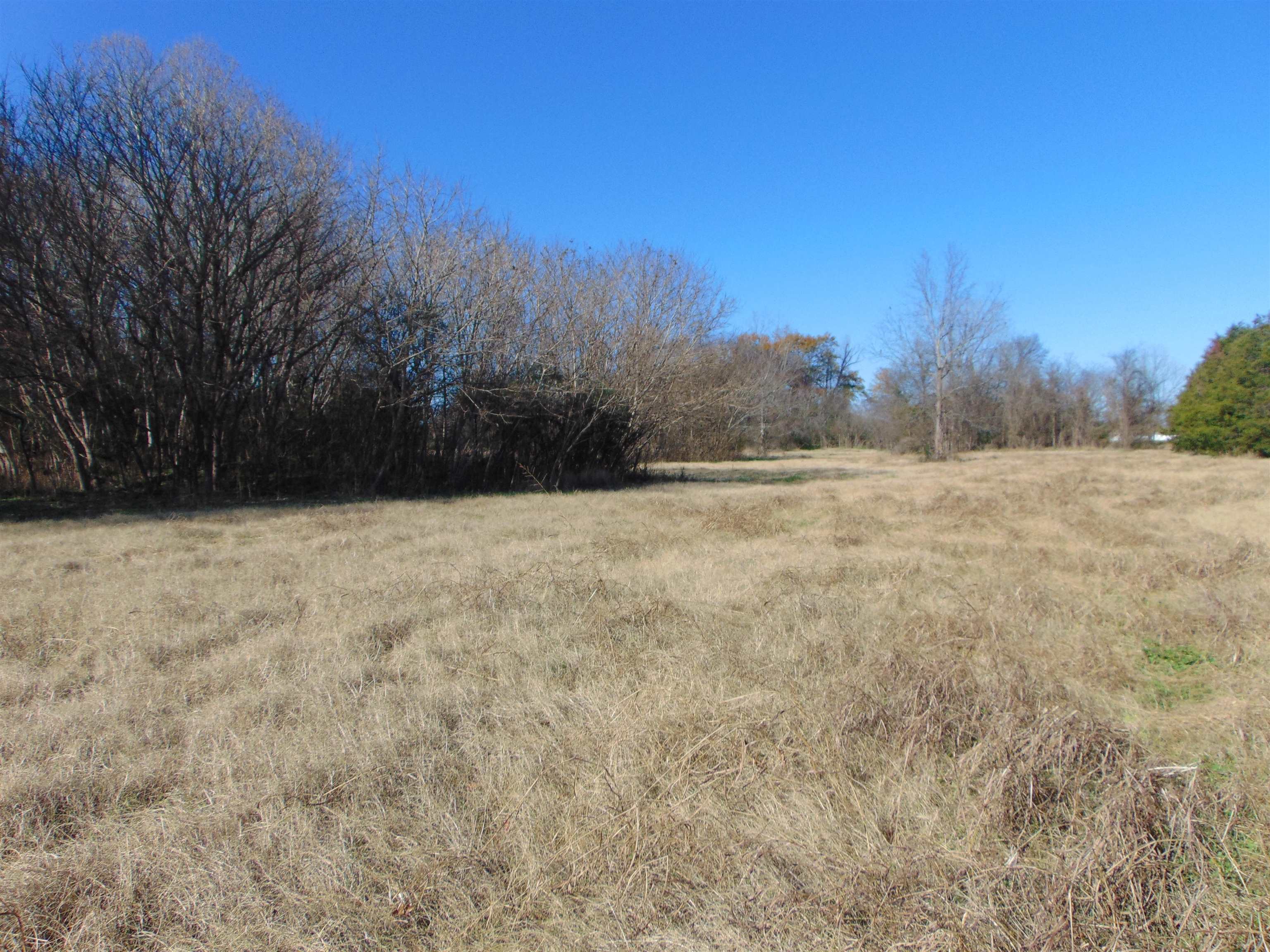 2002 Alabama Ave, Sheffield, AL 35660 — photo 2