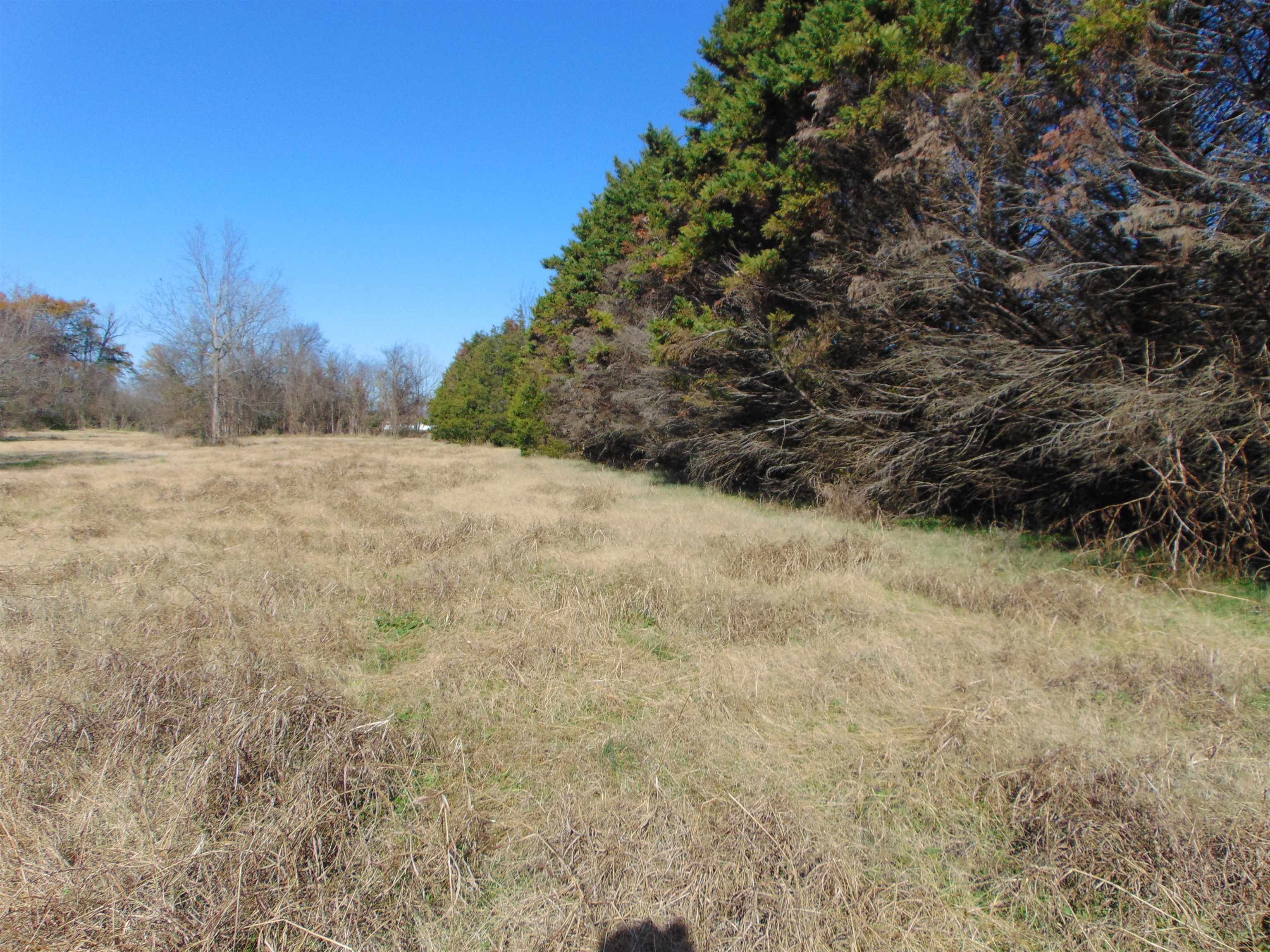 2002 Alabama Ave, Sheffield, AL 35660 — photo 3