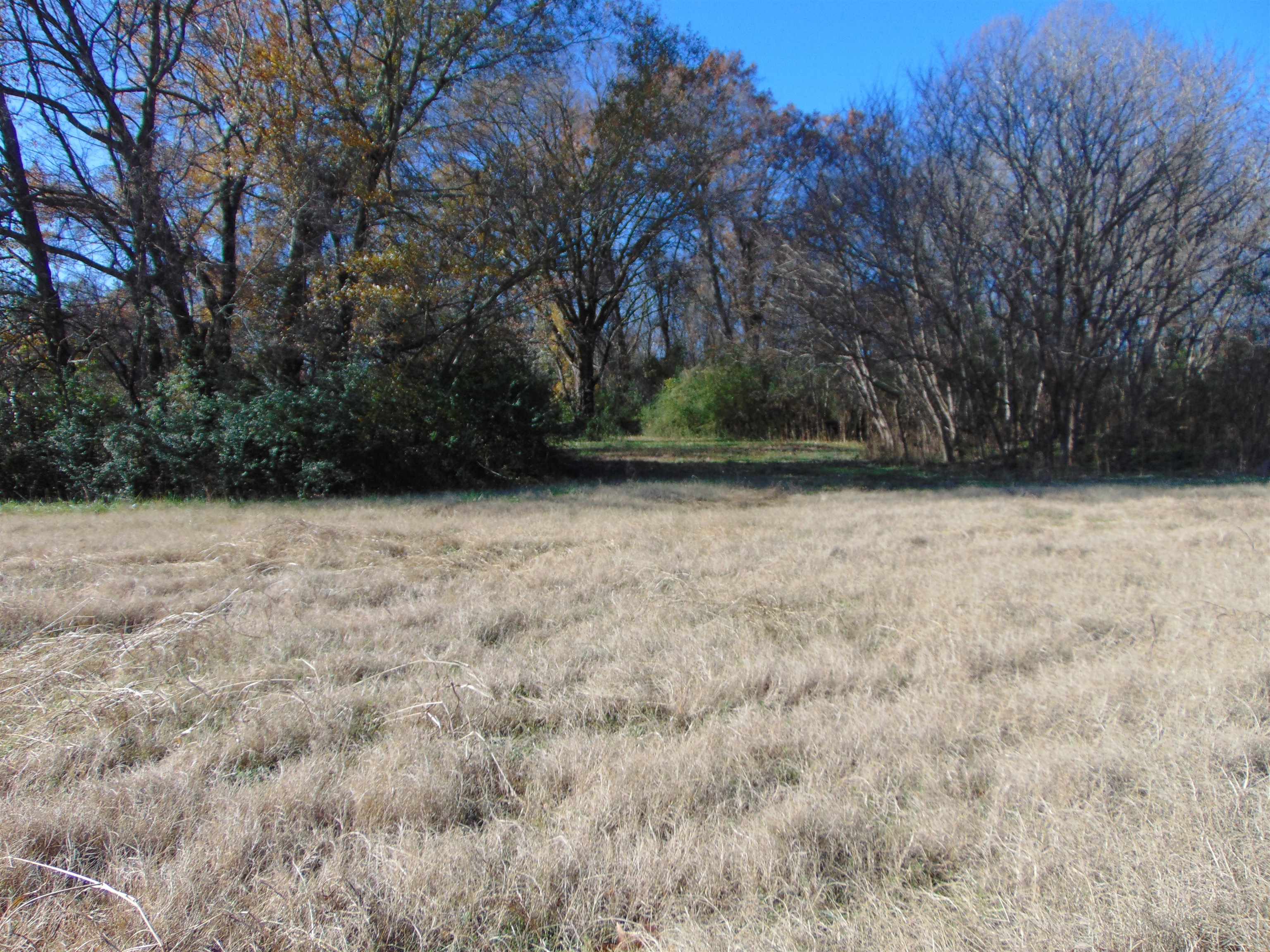 2002 Alabama Ave, Sheffield, AL 35660 — photo 4
