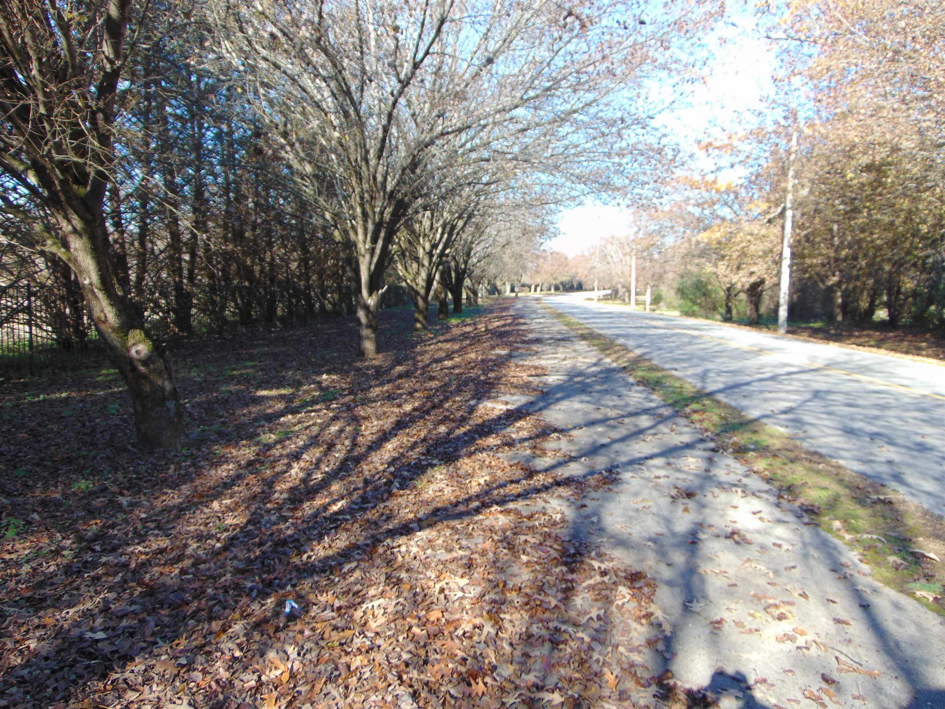 2002 Alabama Ave, Sheffield, AL 35660 — photo 7