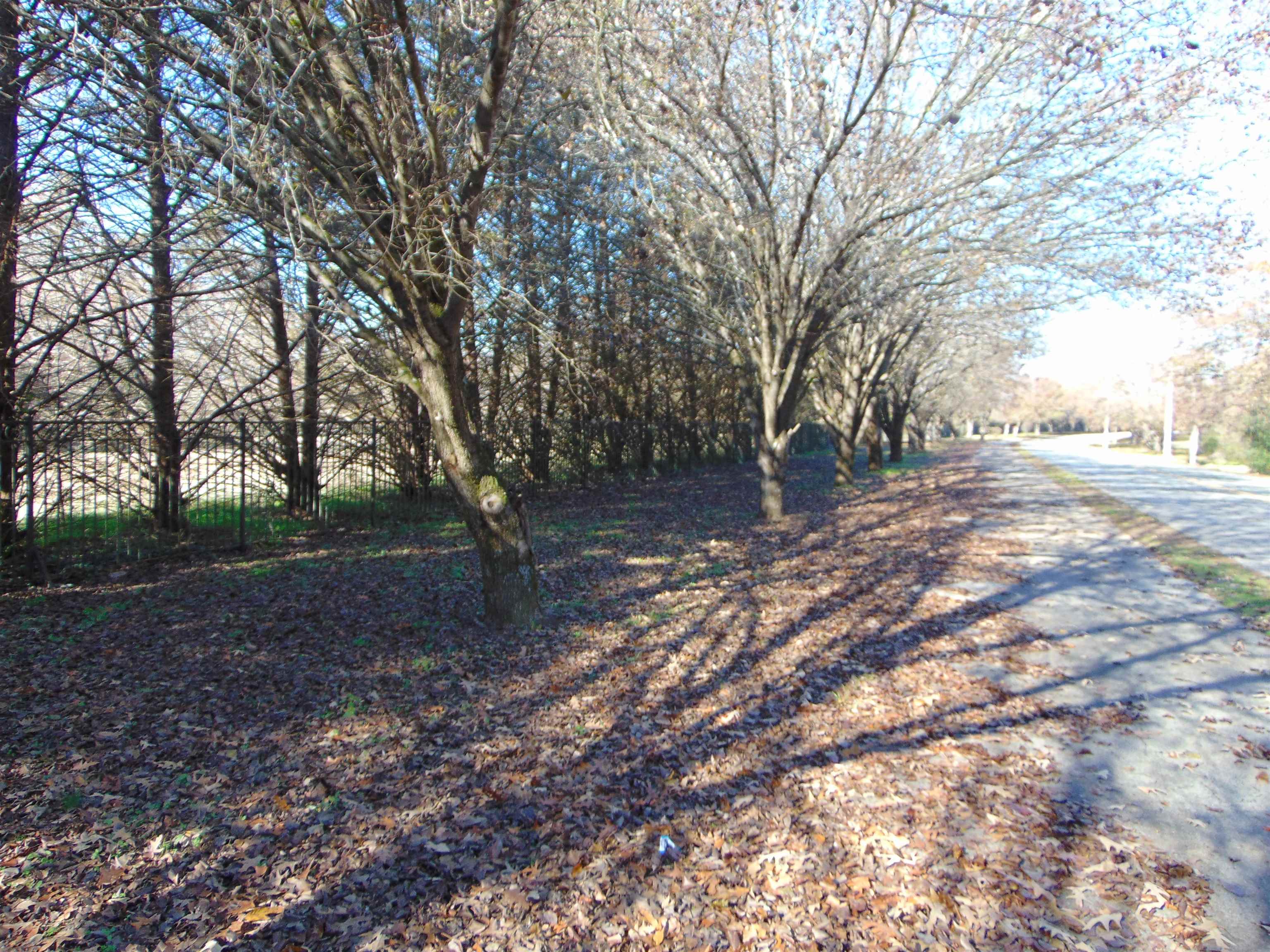 2002 Alabama Ave, Sheffield, AL 35660 — photo 8