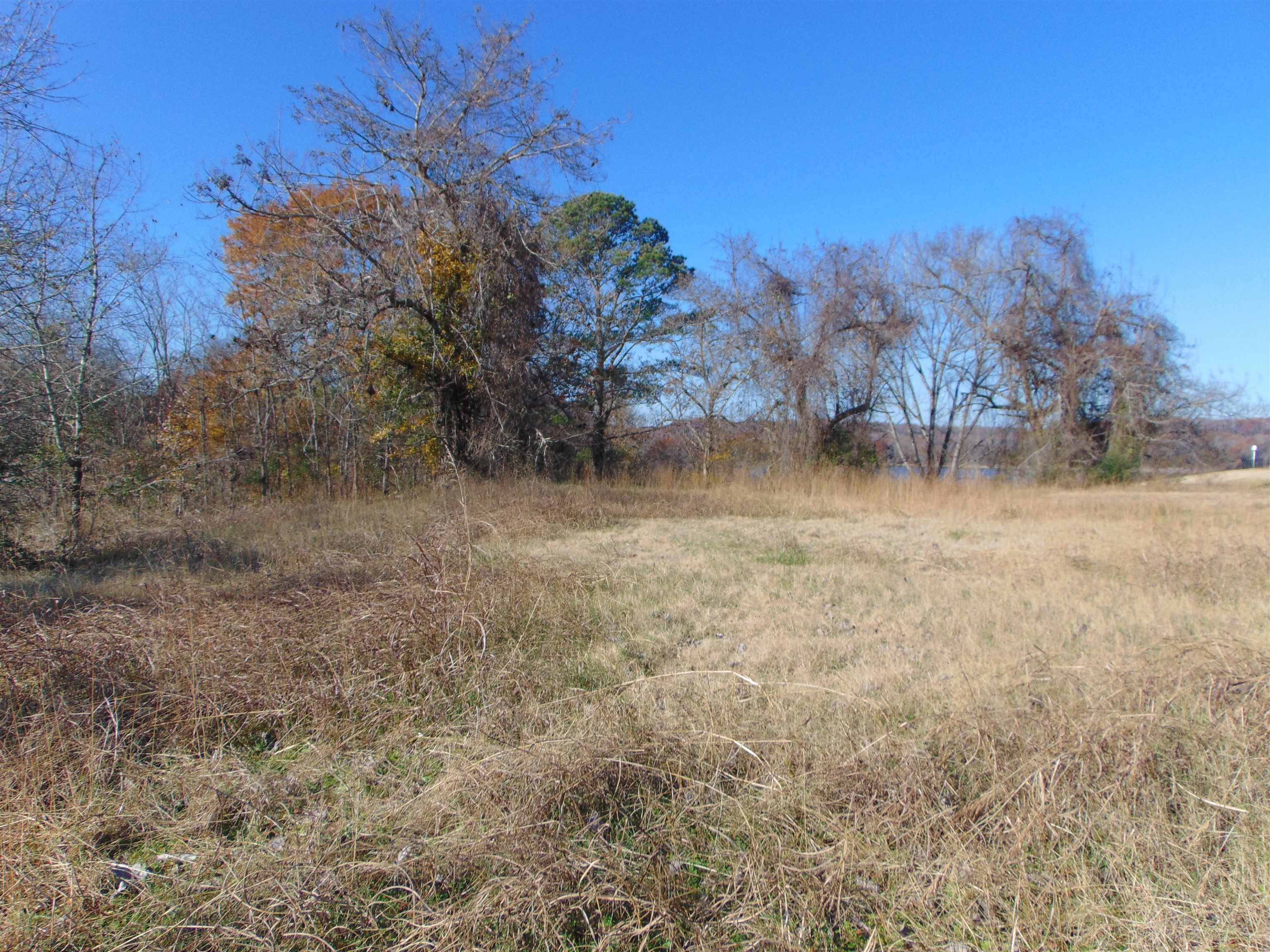 210 Harbor View Dr, Sheffield, AL 35660 — photo 4