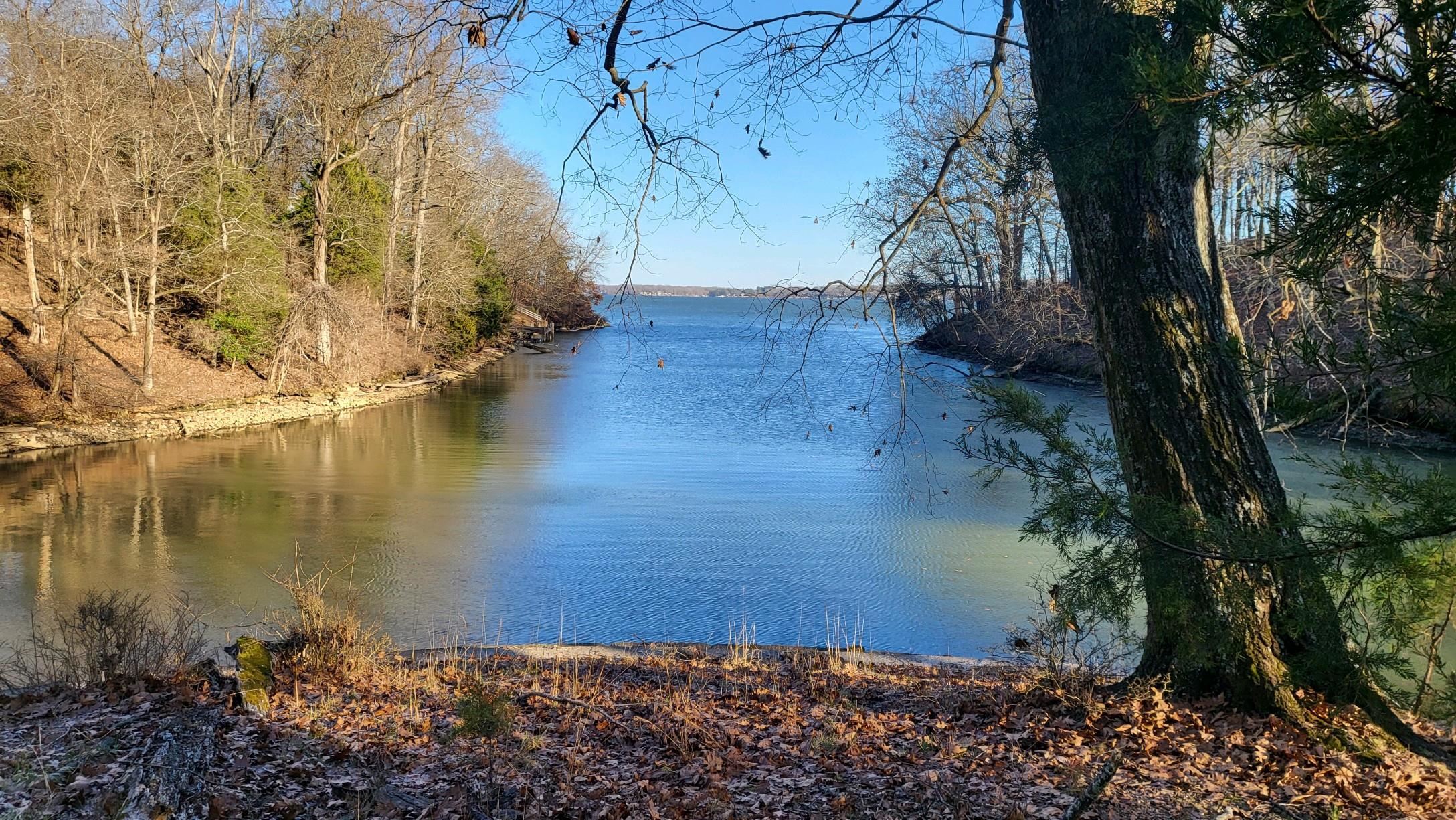 26 Highland Cove, Florence, AL 35634 — photo 1