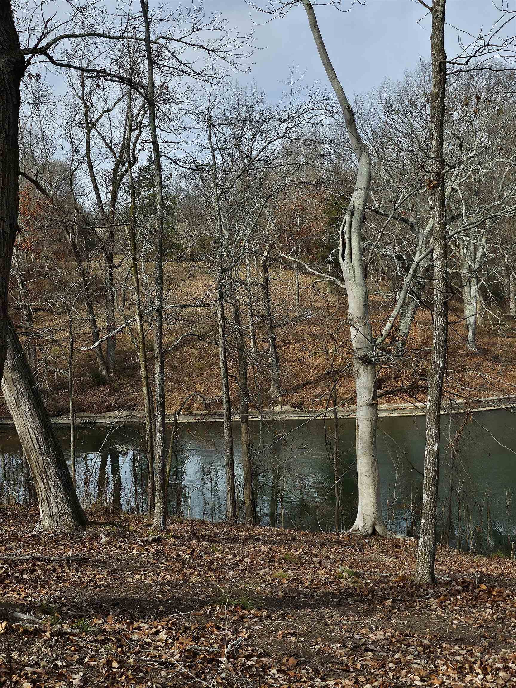 26 Highland Cove, Florence, AL 35634 — photo 2