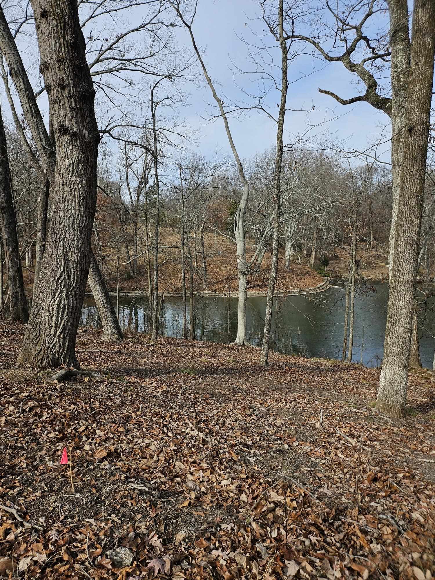 26 Highland Cove, Florence, AL 35634 — photo 3