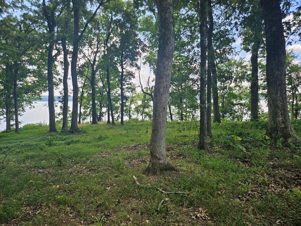 26 Highland Cove, Florence, AL 35634 — photo 4
