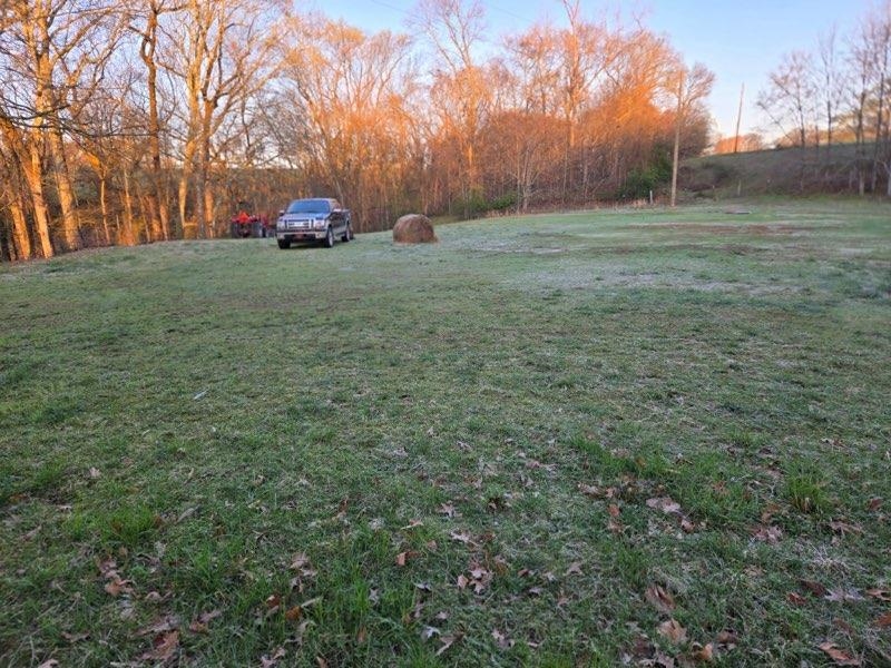 26 Highland Cove, Florence, AL 35634 — photo 8