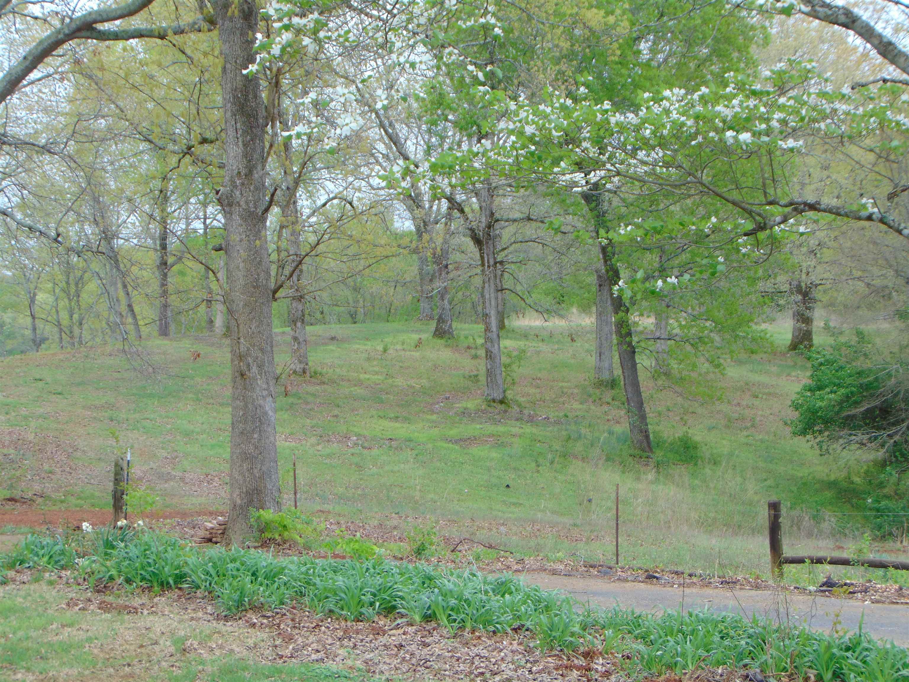 0019 Lakeview Farm Rd, Florence, AL 35634 — photo 12