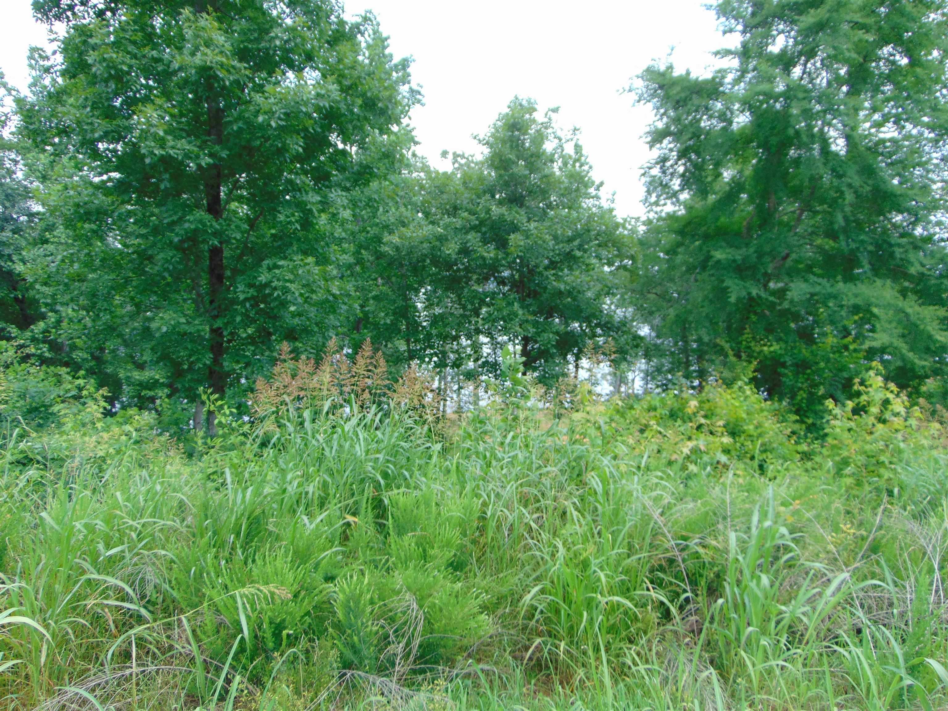 Lot 21 Spyglass Loop, Cherokee, AL 35616 — photo 2