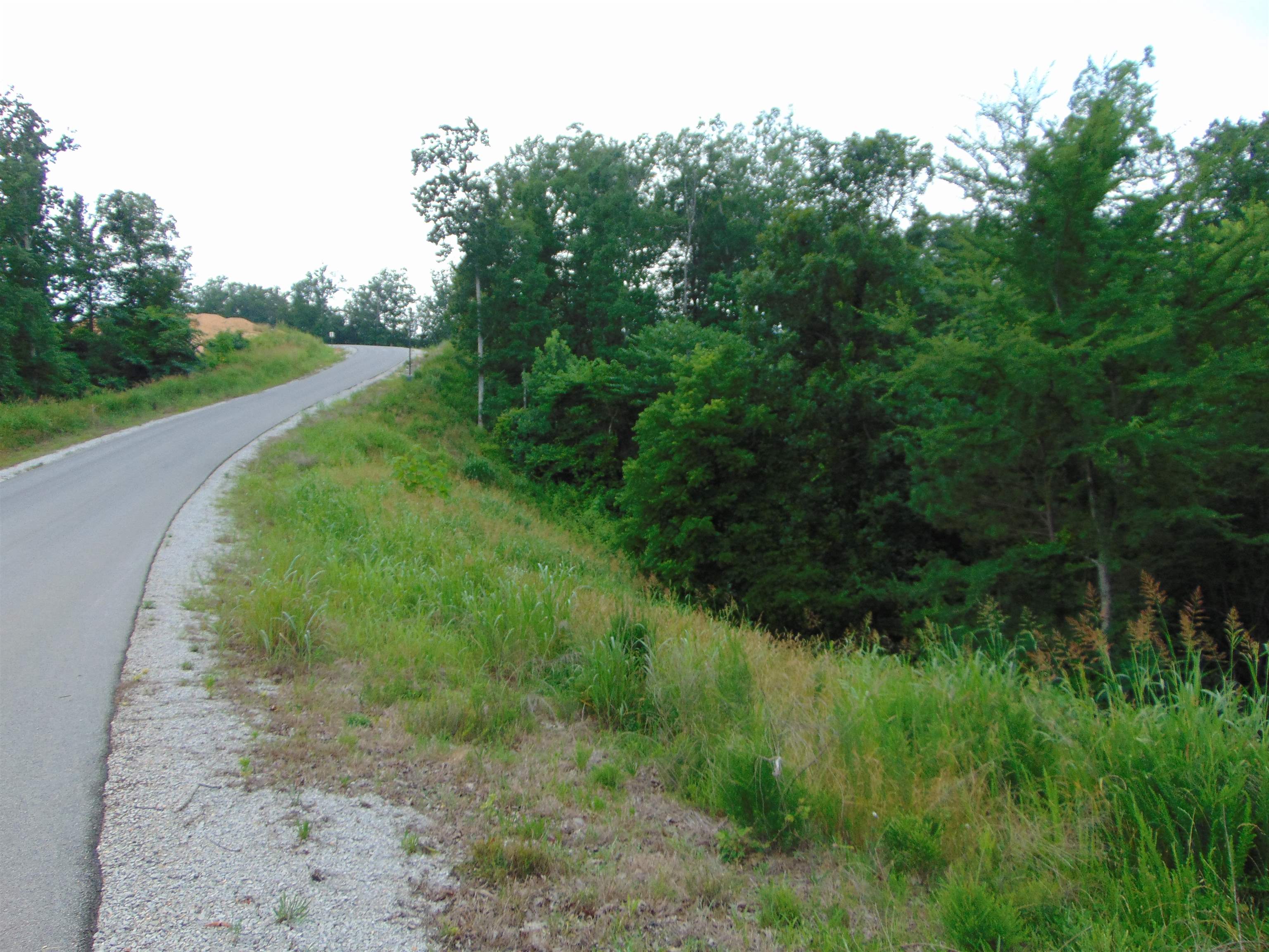 Lot 21 Spyglass Loop, Cherokee, AL 35616 — photo 10