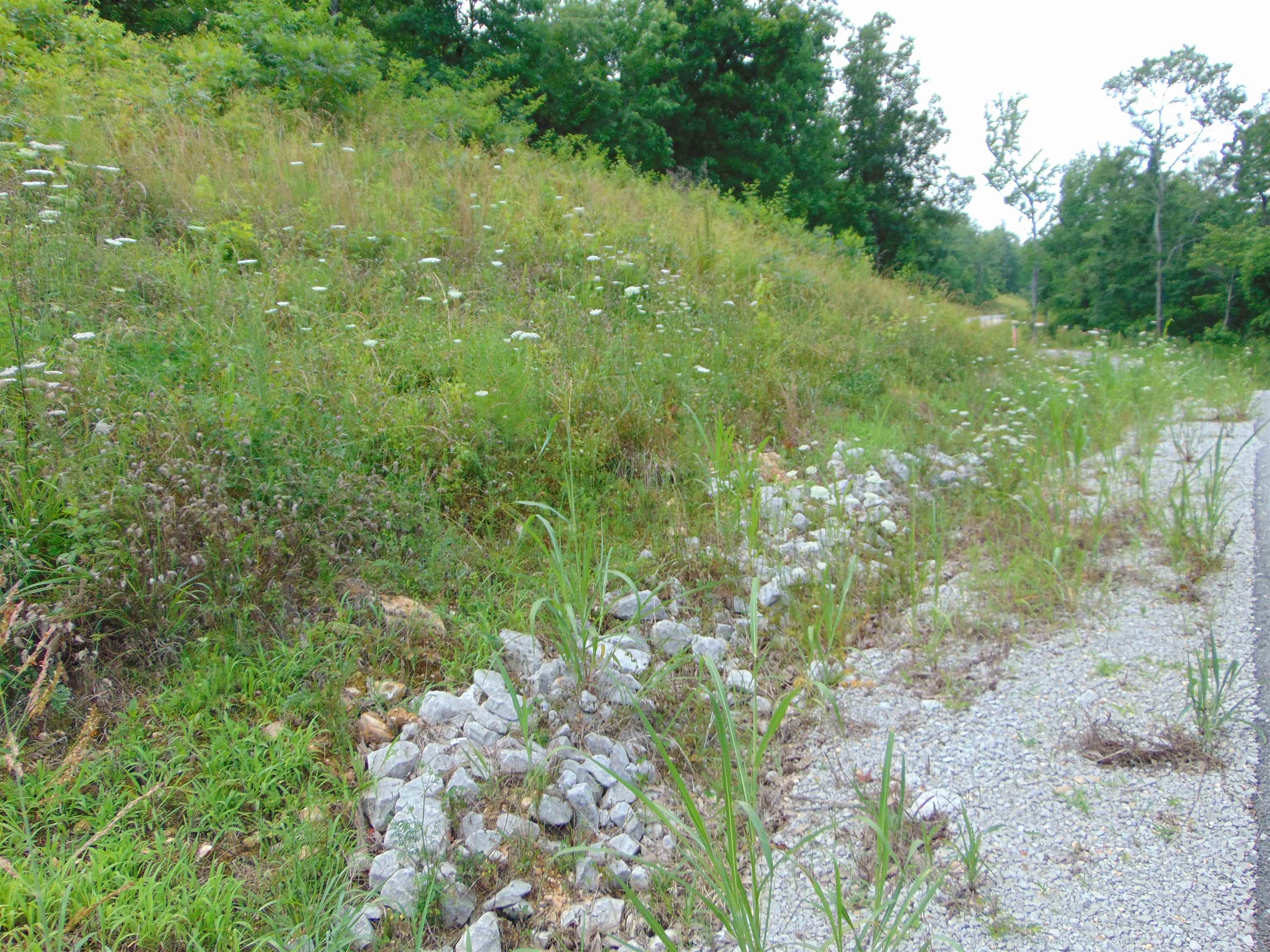 Lot 21 Spyglass Loop, Cherokee, AL 35616 — photo 4