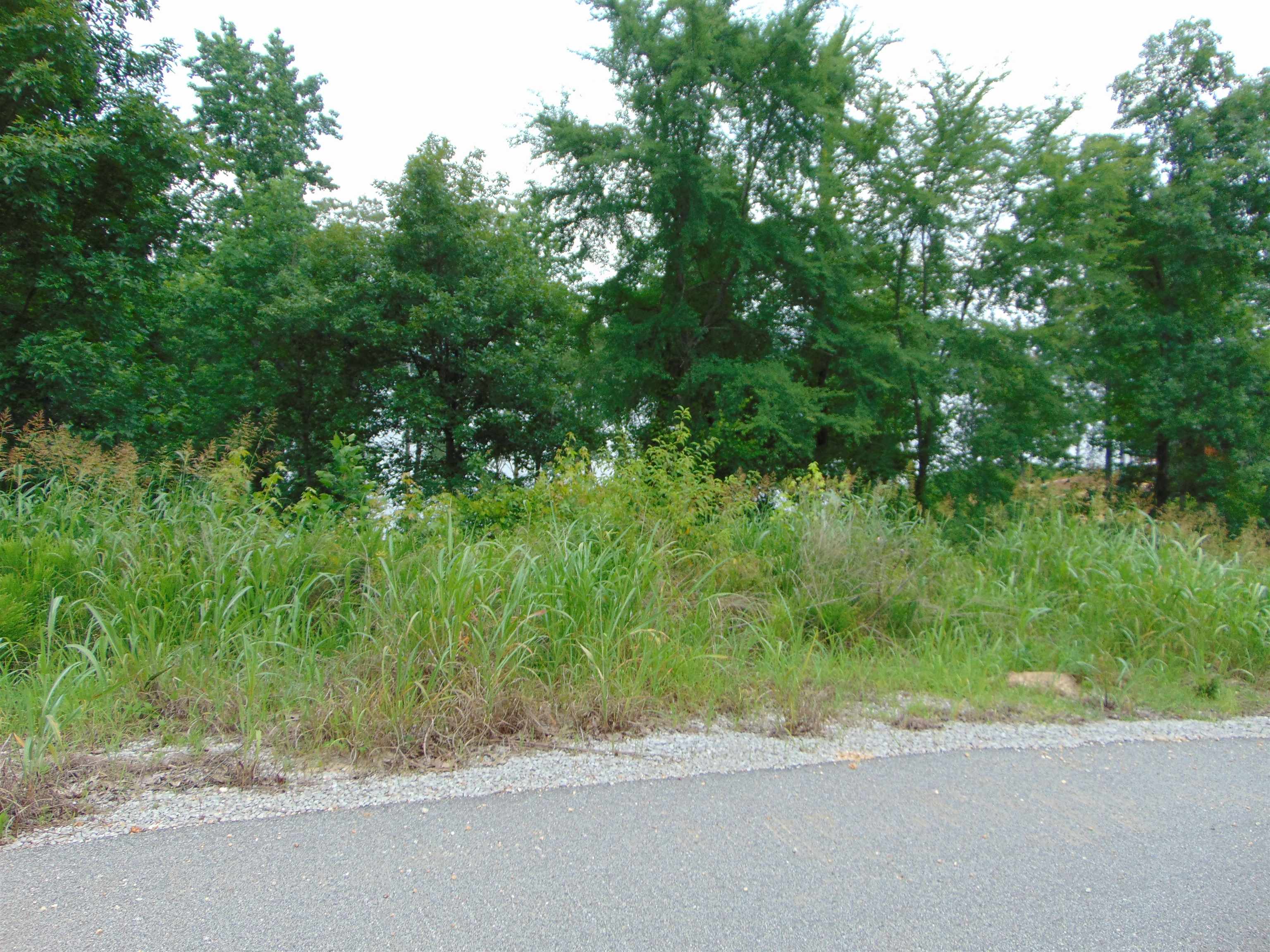 Lot 21 Spyglass Loop, Cherokee, AL 35616 — photo 5