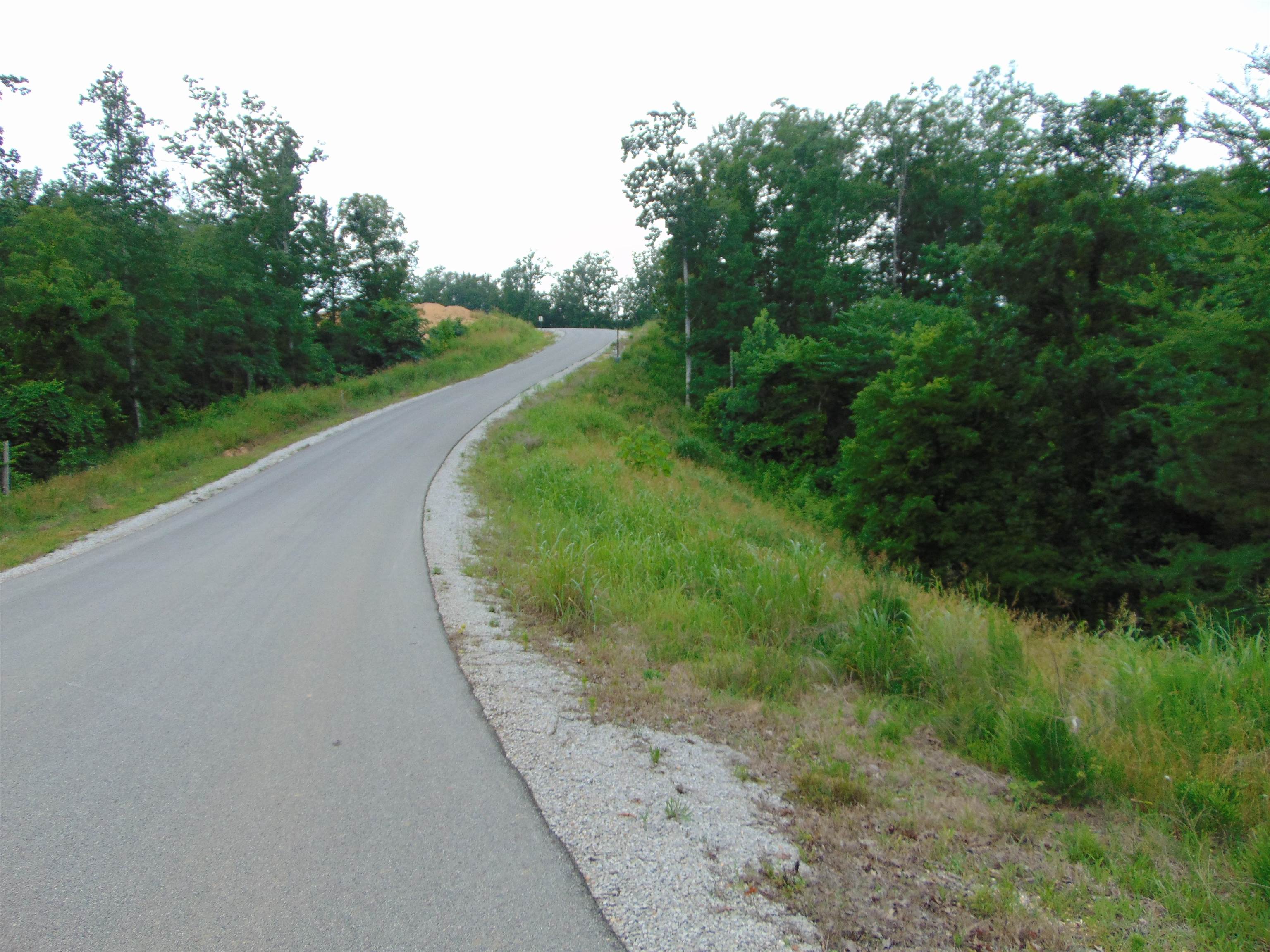 Lot 21 Spyglass Loop, Cherokee, AL 35616 — photo 8