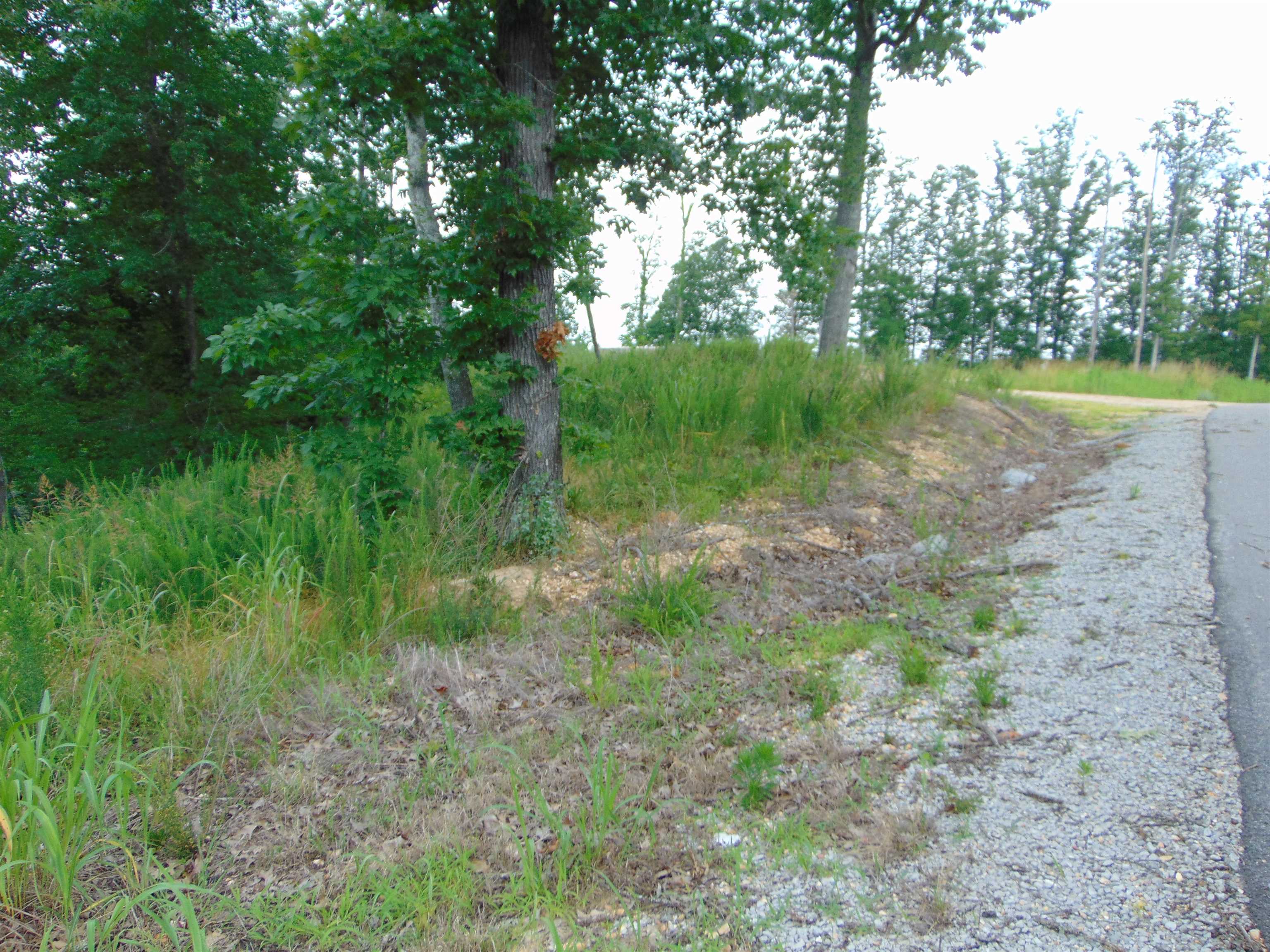 Lot 21 Spyglass Loop, Cherokee, AL 35616 — photo 9
