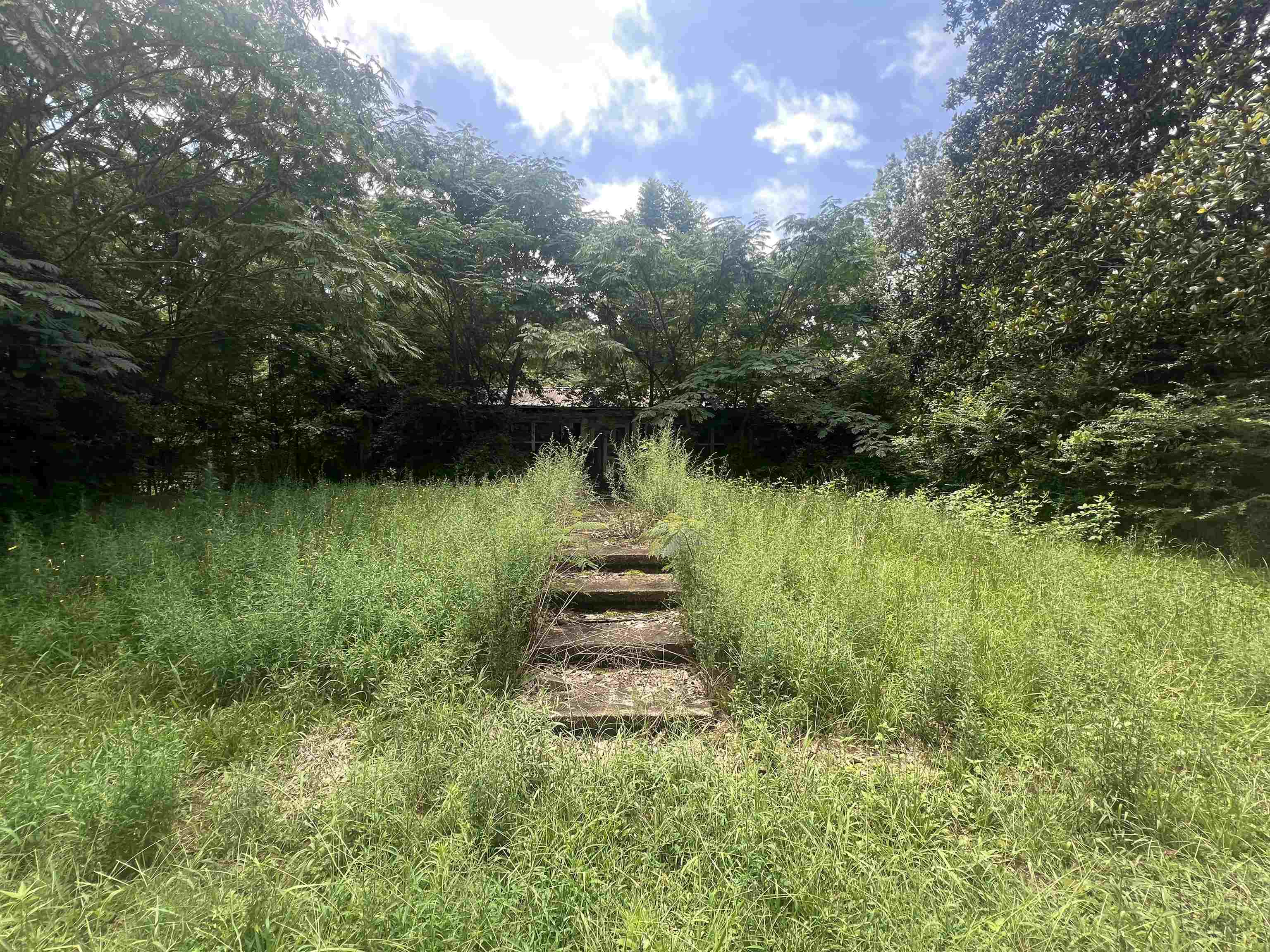 710 Carter Dr, Tuscumbia, AL 35674 — photo 1