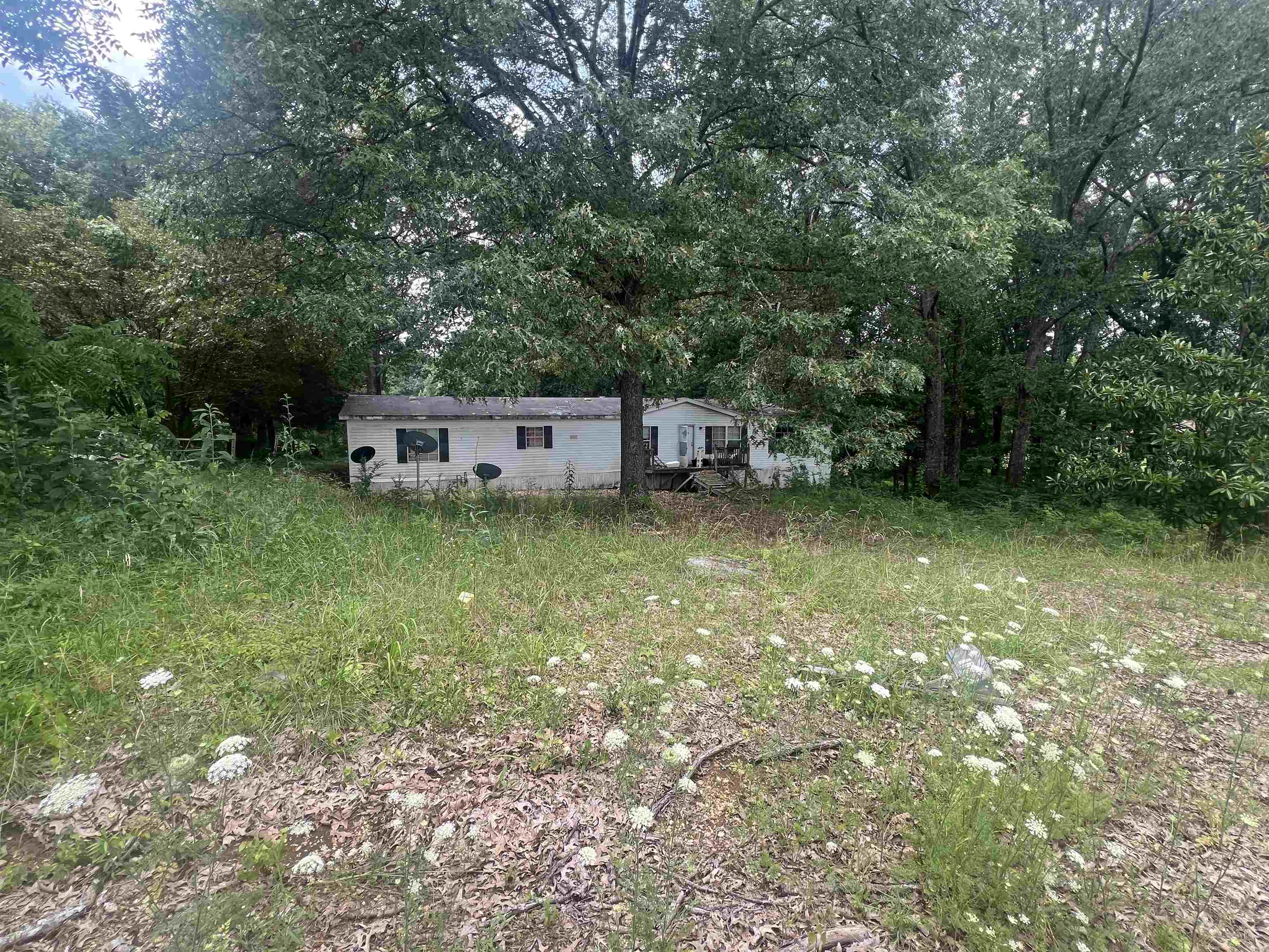 710 Carter Dr, Tuscumbia, AL 35674 — photo 3