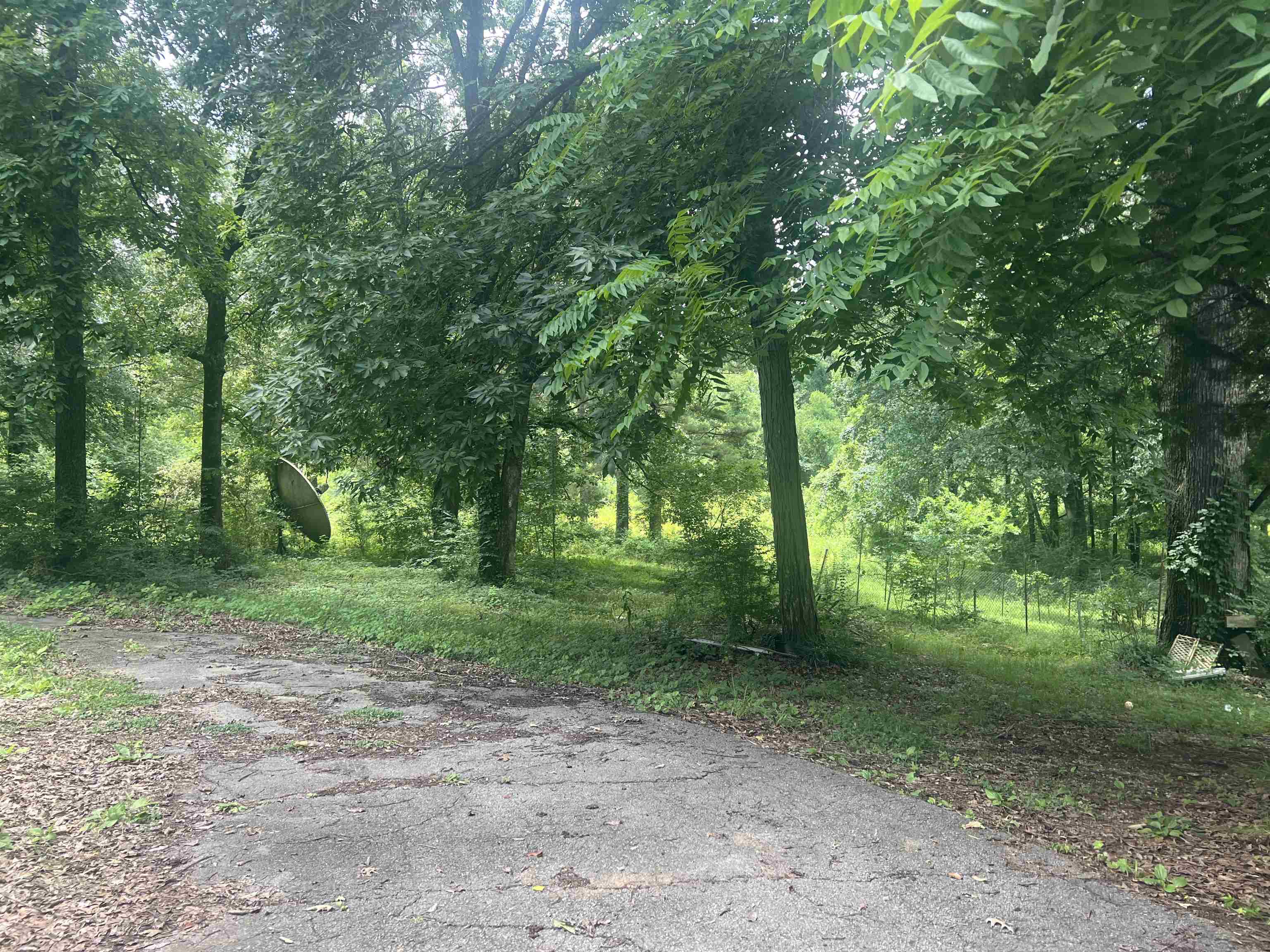 710 Carter Dr, Tuscumbia, AL 35674 — photo 5