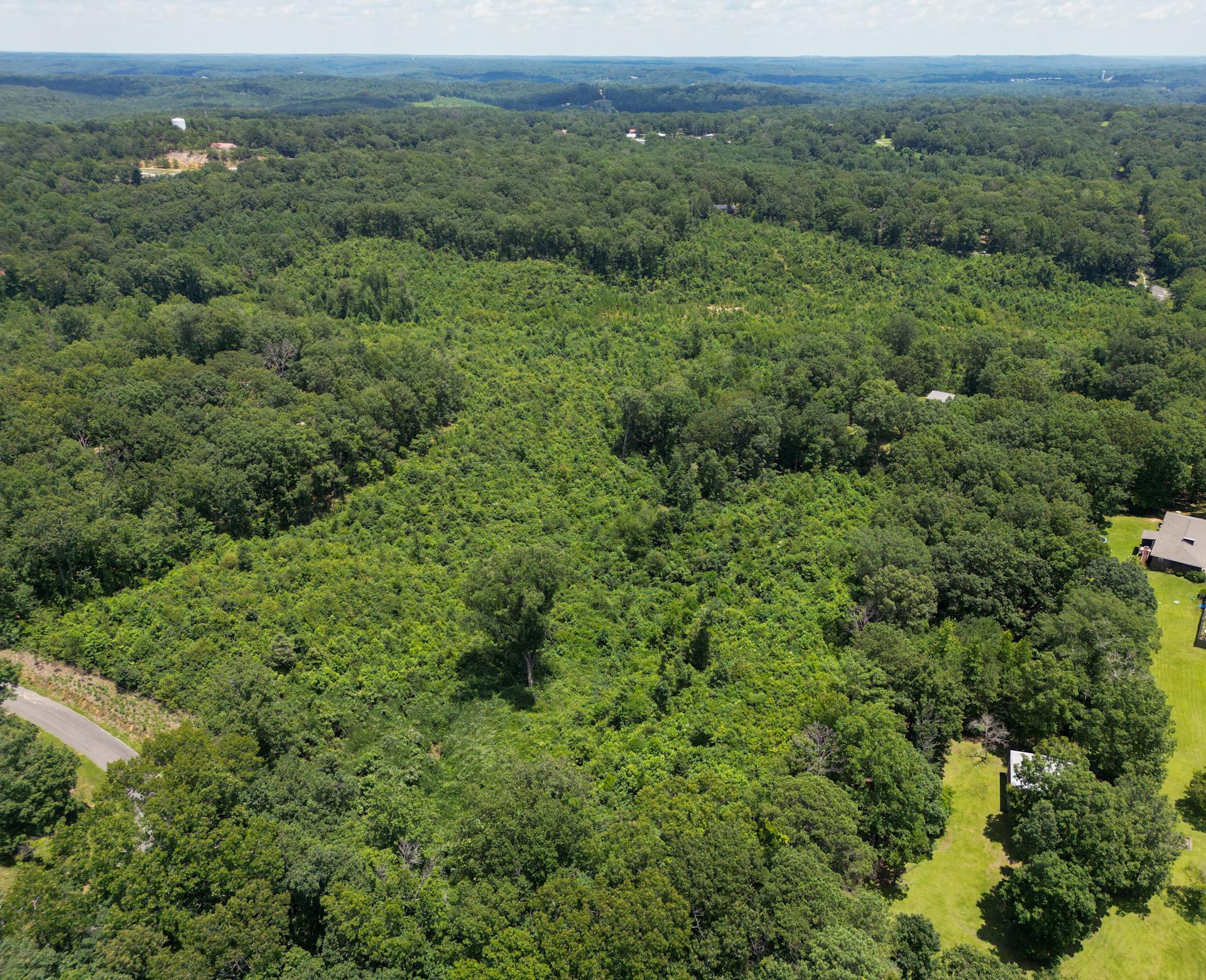 00 Regency Place, Hamilton, AL 35570 — photo 2
