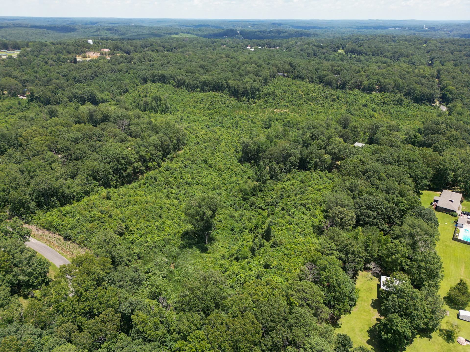 00 Regency Place, Hamilton, AL 35570 — photo 3