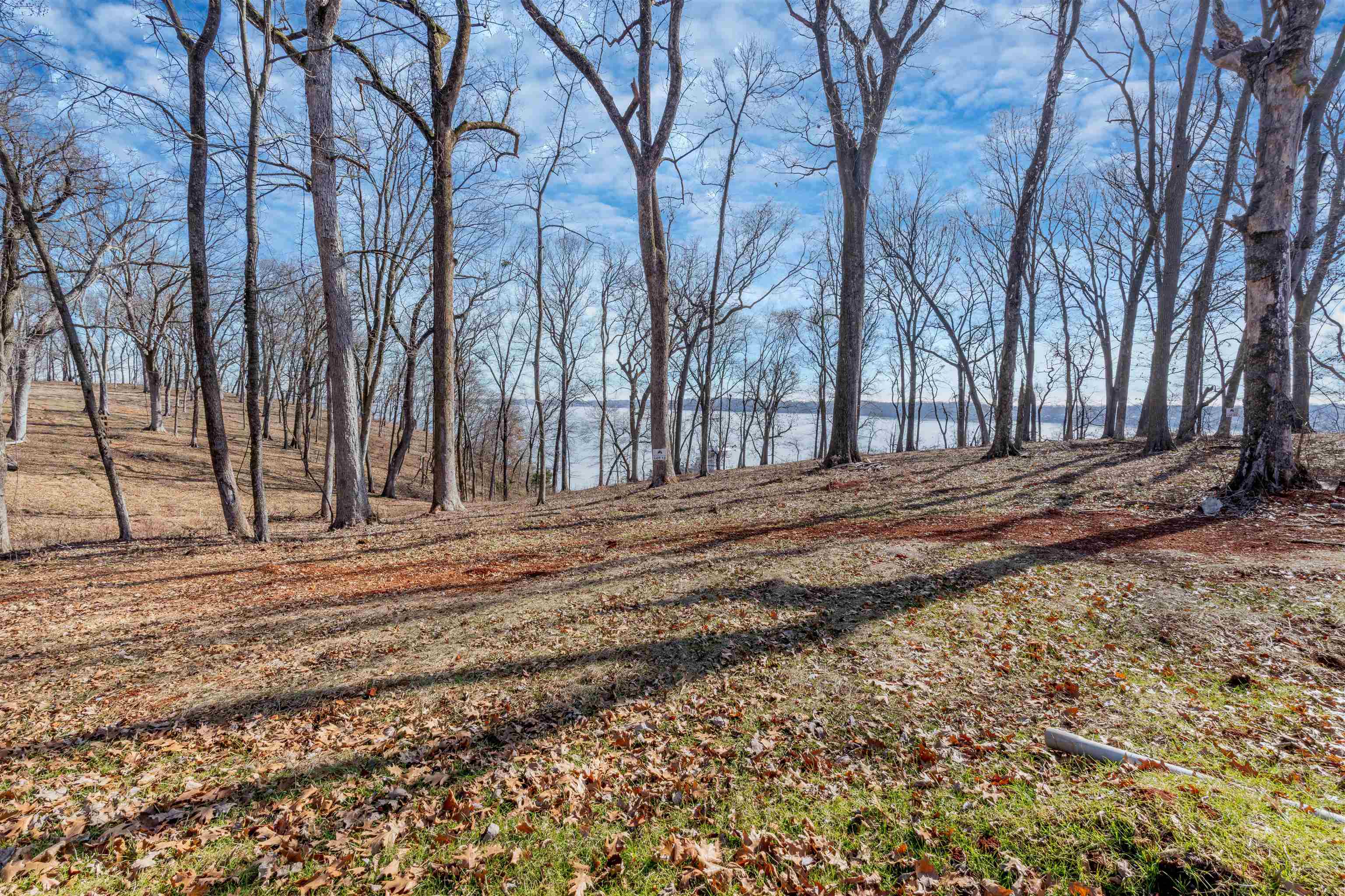 324 Highland Cove, Florence, AL 35634 — photo 3