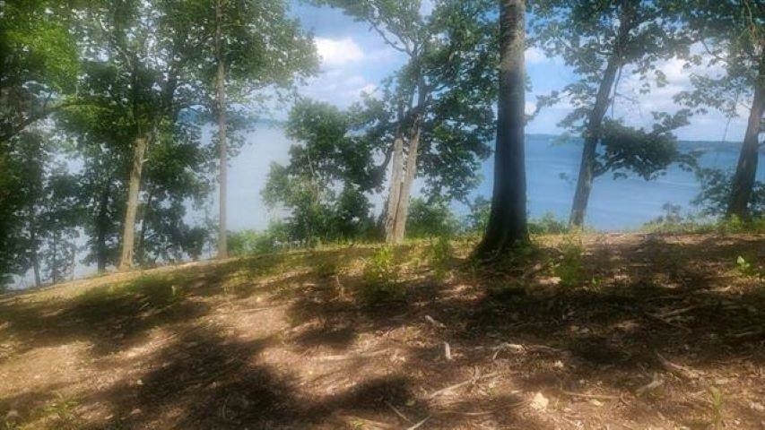 508 Highland Cove, Florence, AL 35634 — photo 5