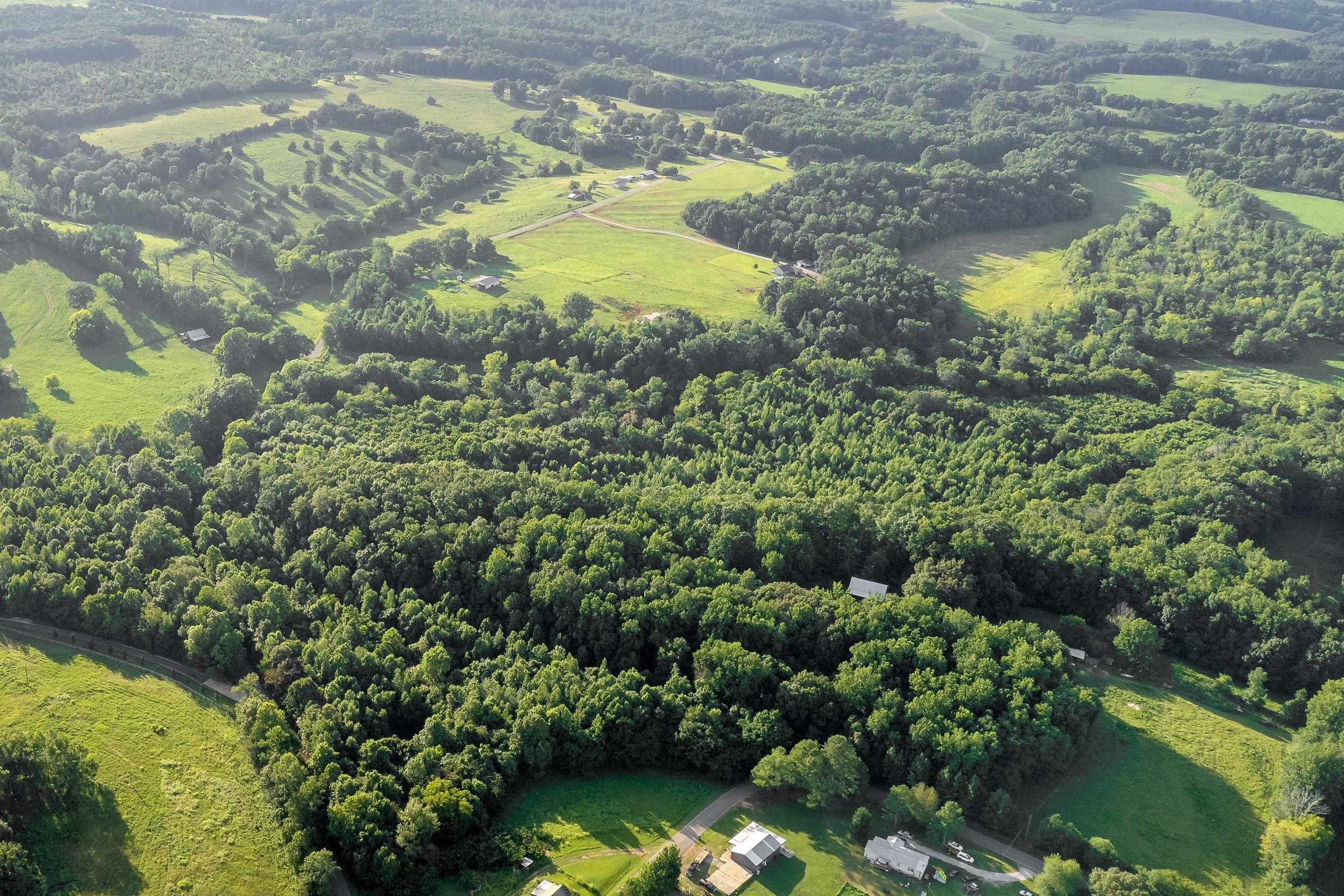 0 Co Rd 88, Anderson, AL 35610 — photo 7