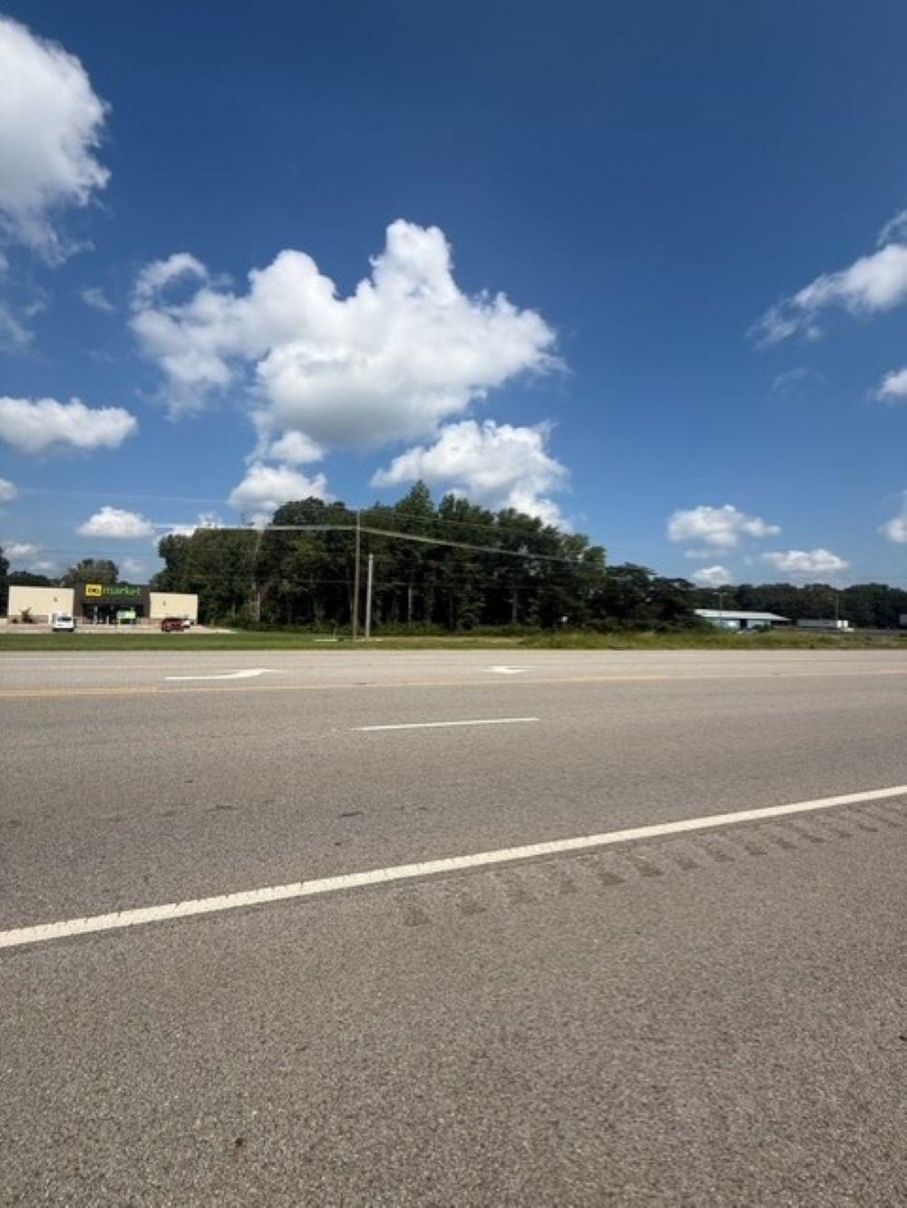 0 N Hwy 43, Killen, AL 35645 — photo 2