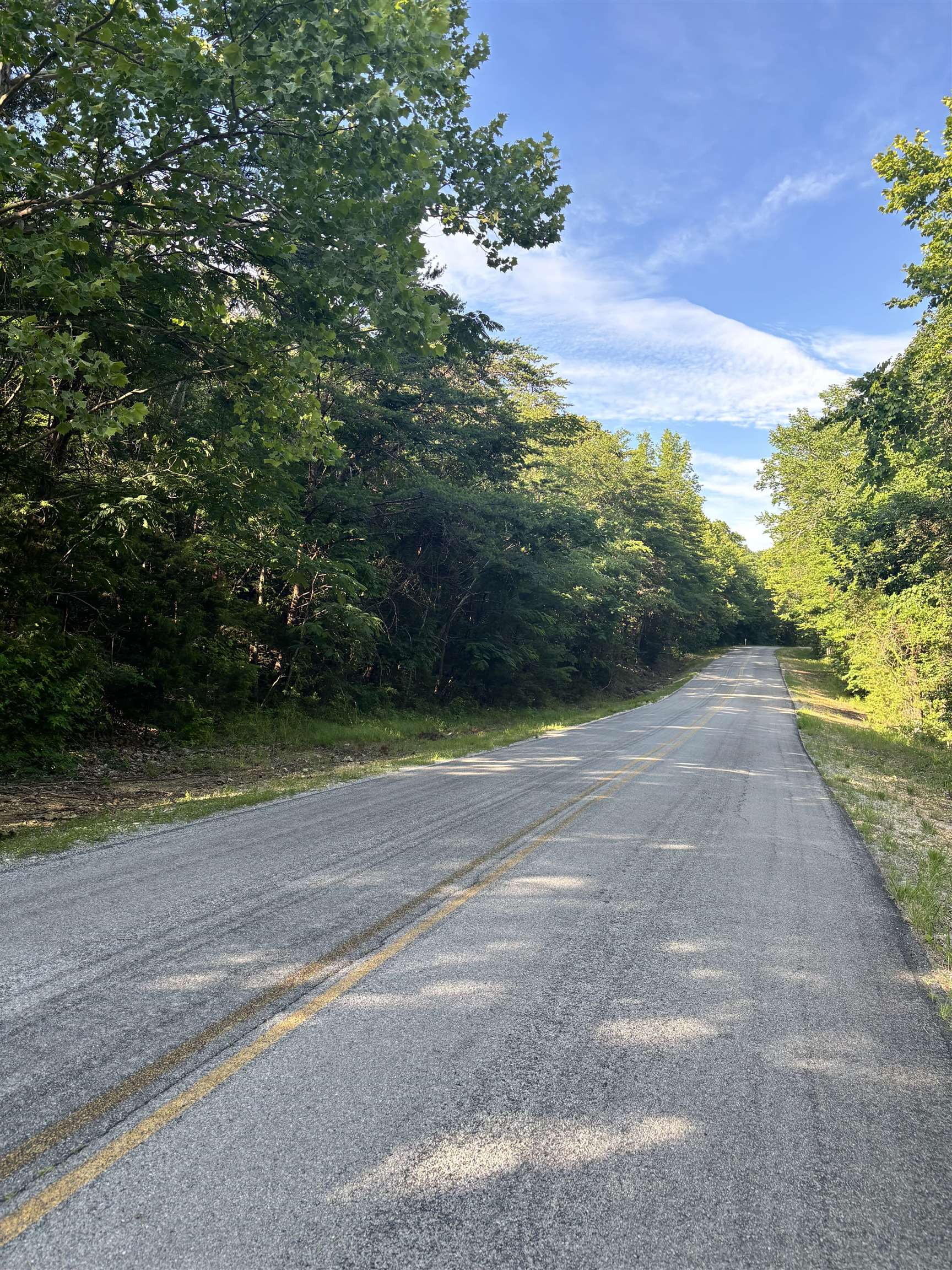 00 New Cut Rd, Tuscumbia, AL 35674 — photo 2