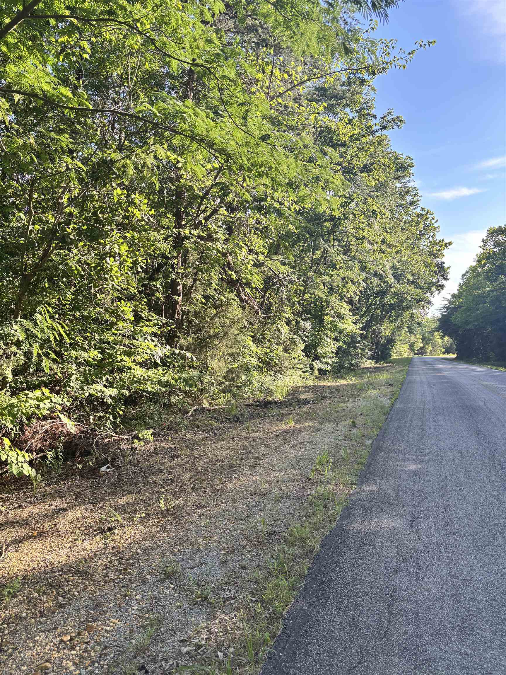 00 New Cut Rd, Tuscumbia, AL 35674 — photo 3