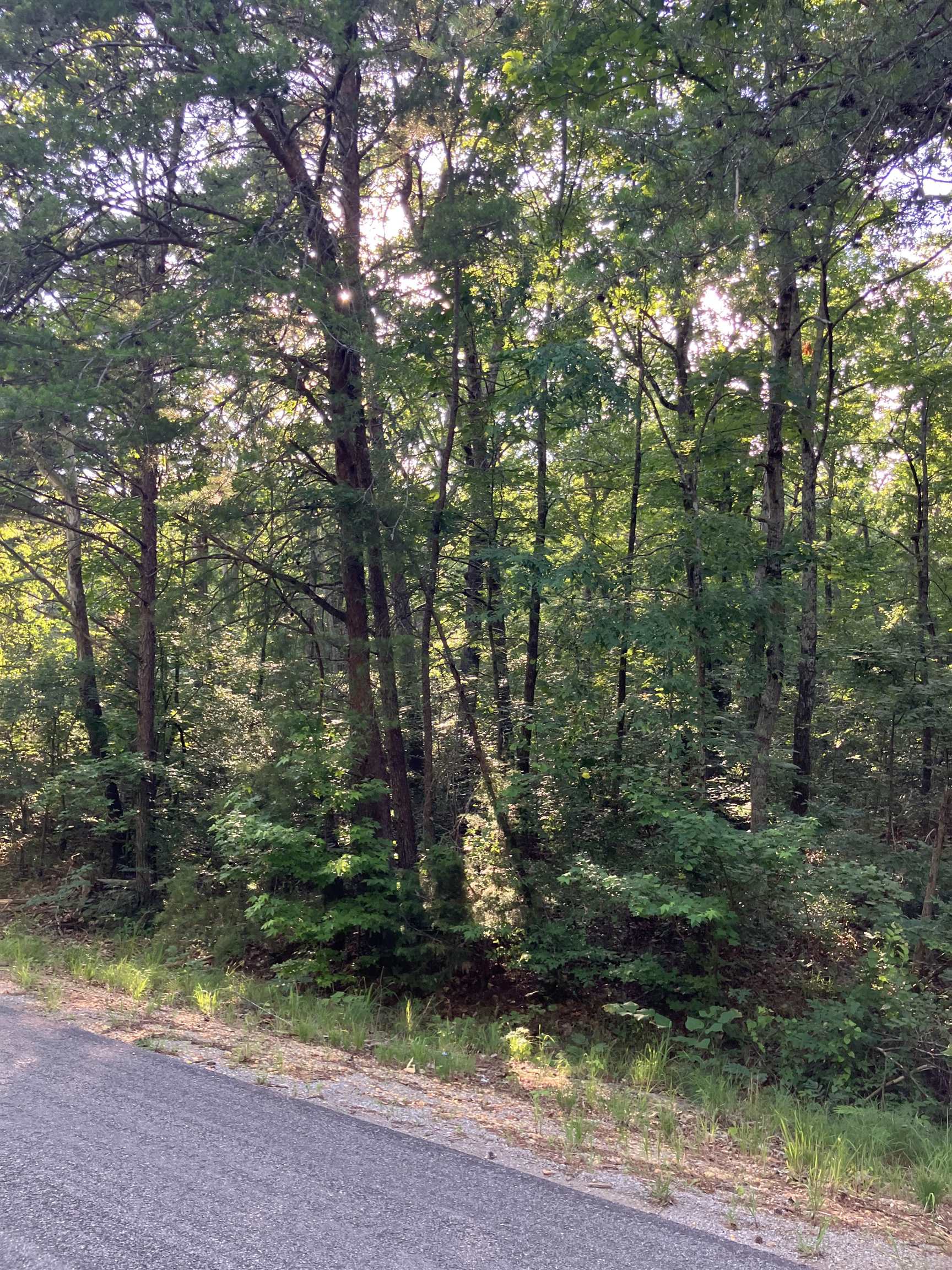 00 New Cut Rd, Tuscumbia, AL 35674 — photo 4