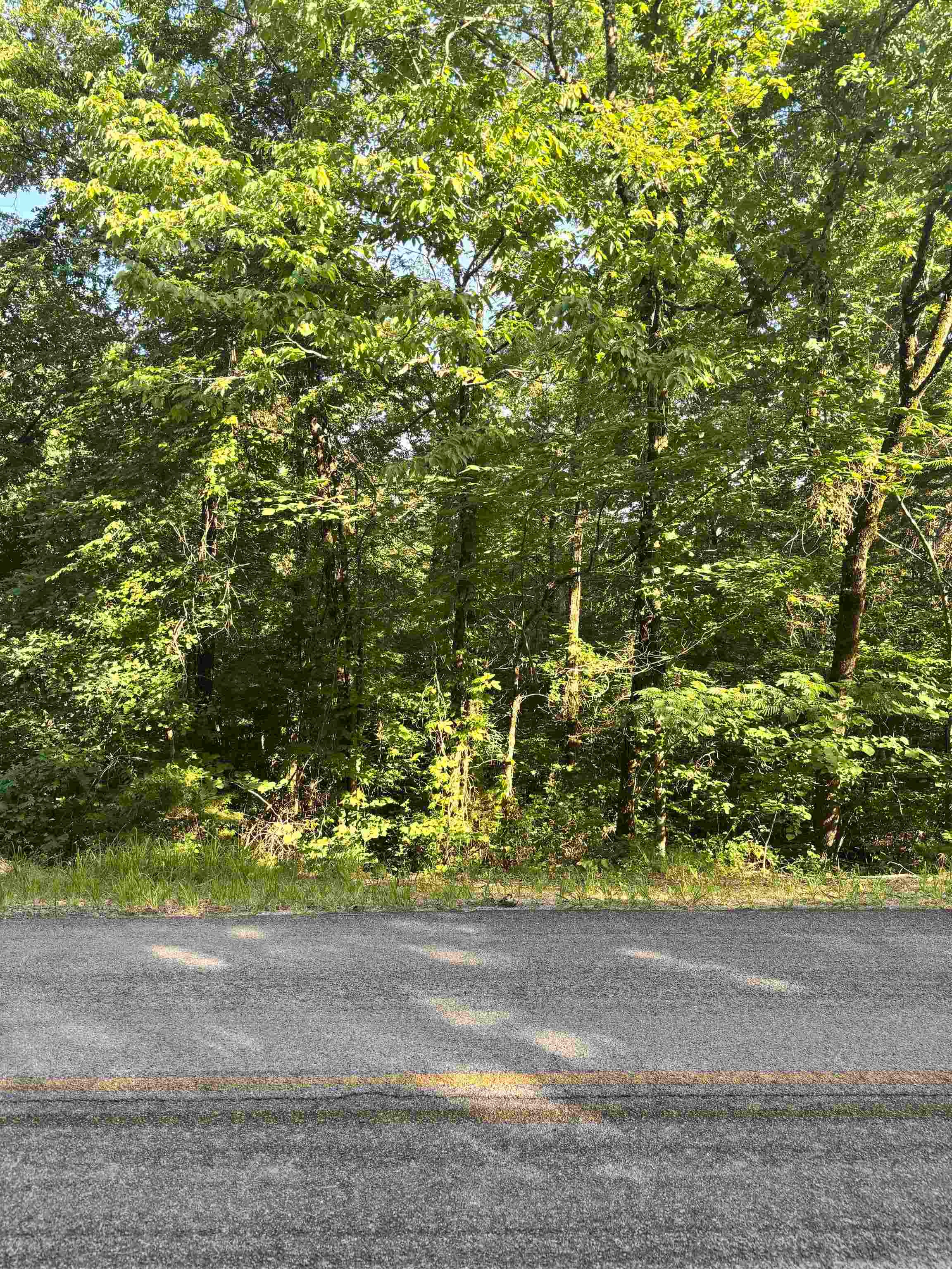 00 New Cut Rd, Tuscumbia, AL 35674 — photo 5