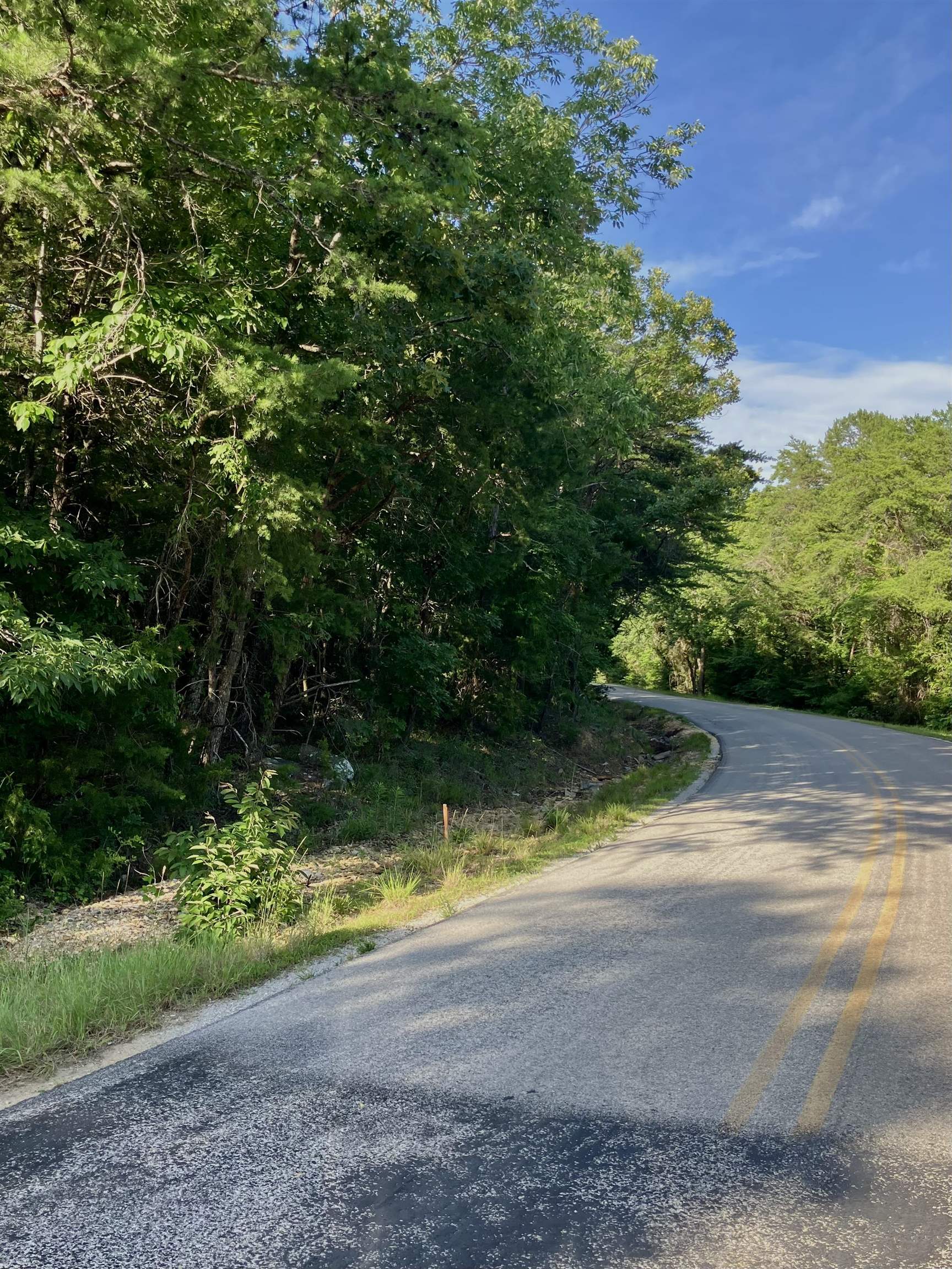 00 New Cut Rd, Tuscumbia, AL 35674 — photo 7
