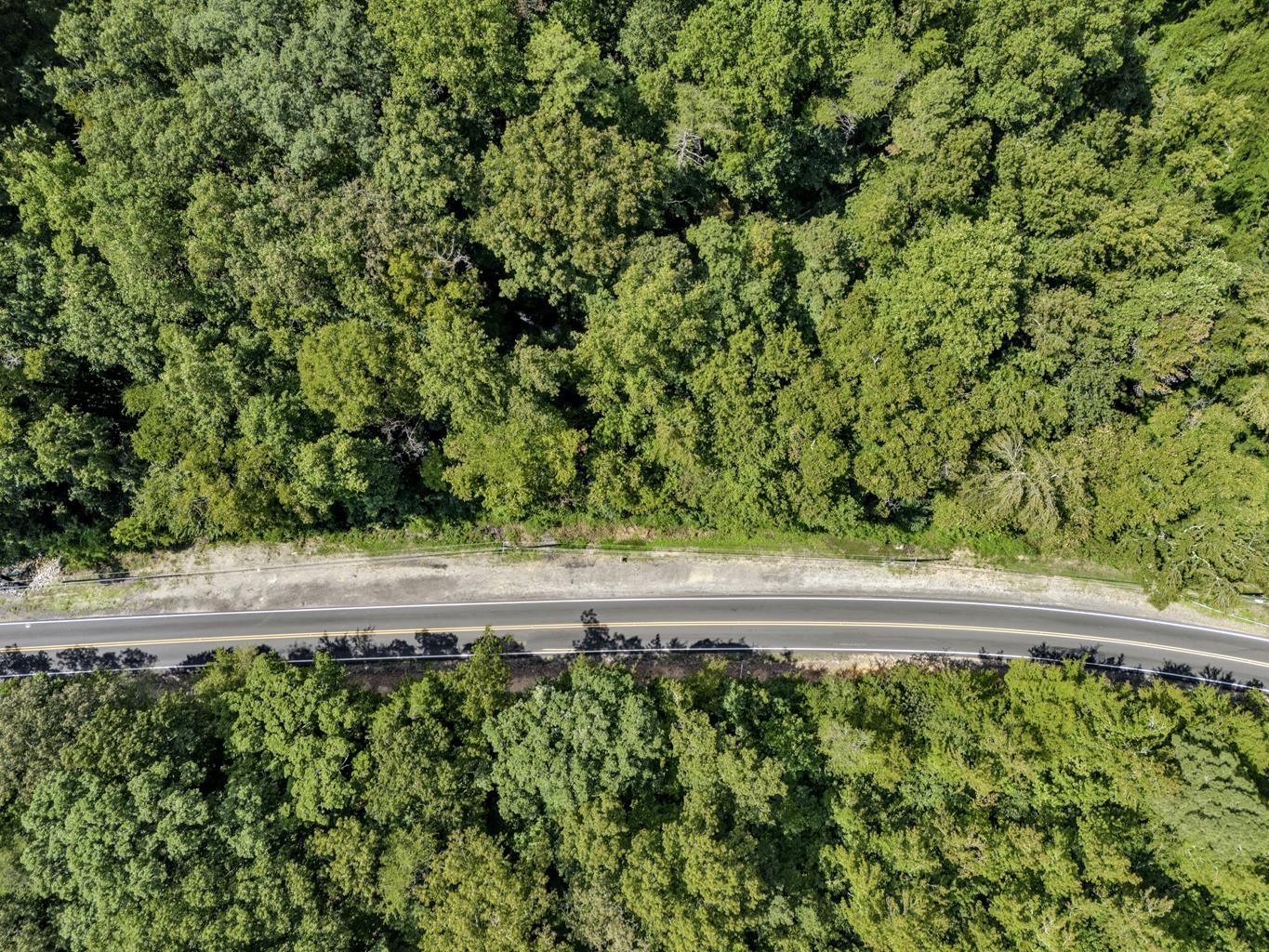 2520 Sweeney Hollow Rd, Birmingham, AL 35215 — photo 11