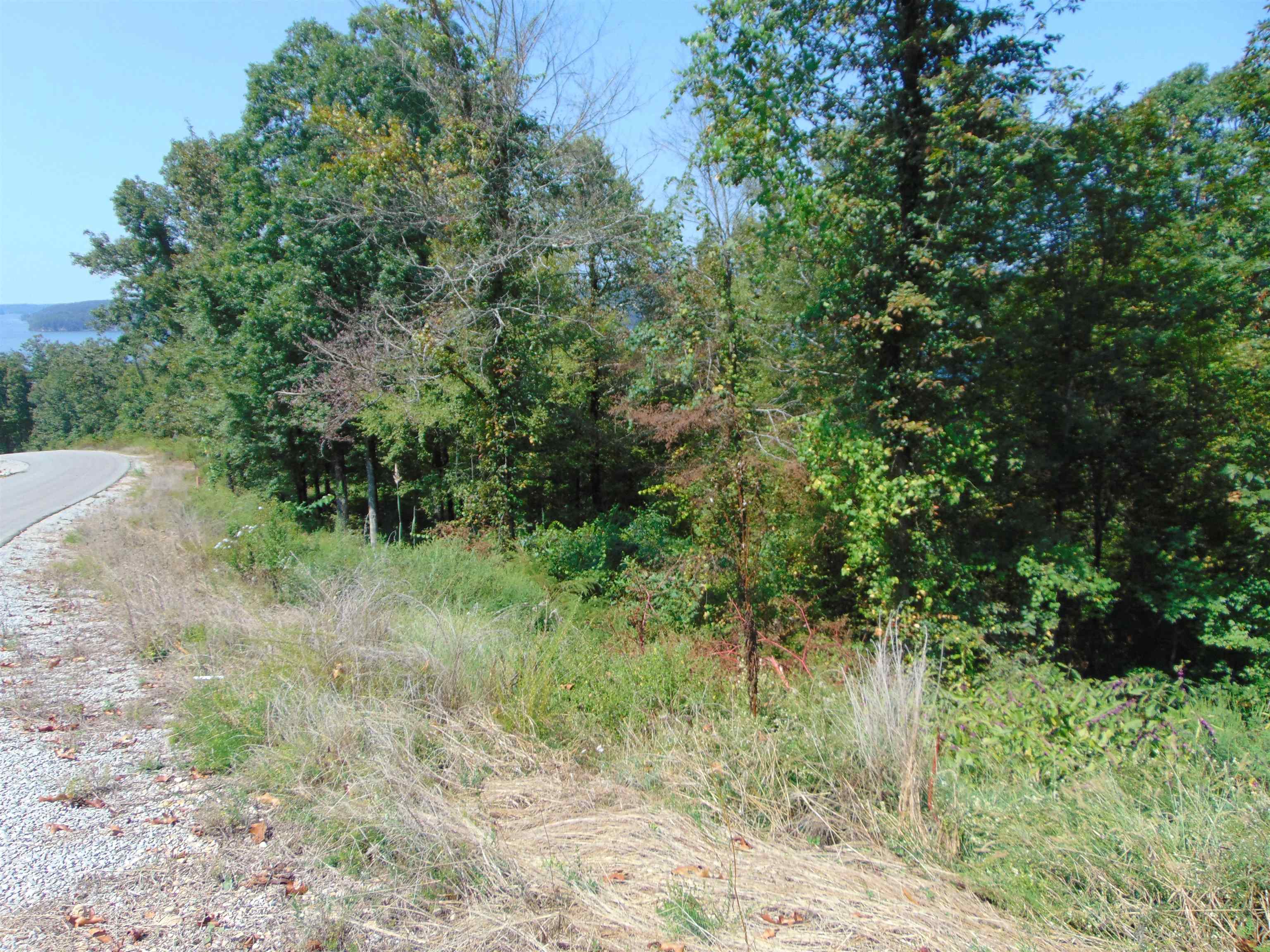 LOT 27 Wellington Rdg, Cherokee, AL 35616 — photo 8