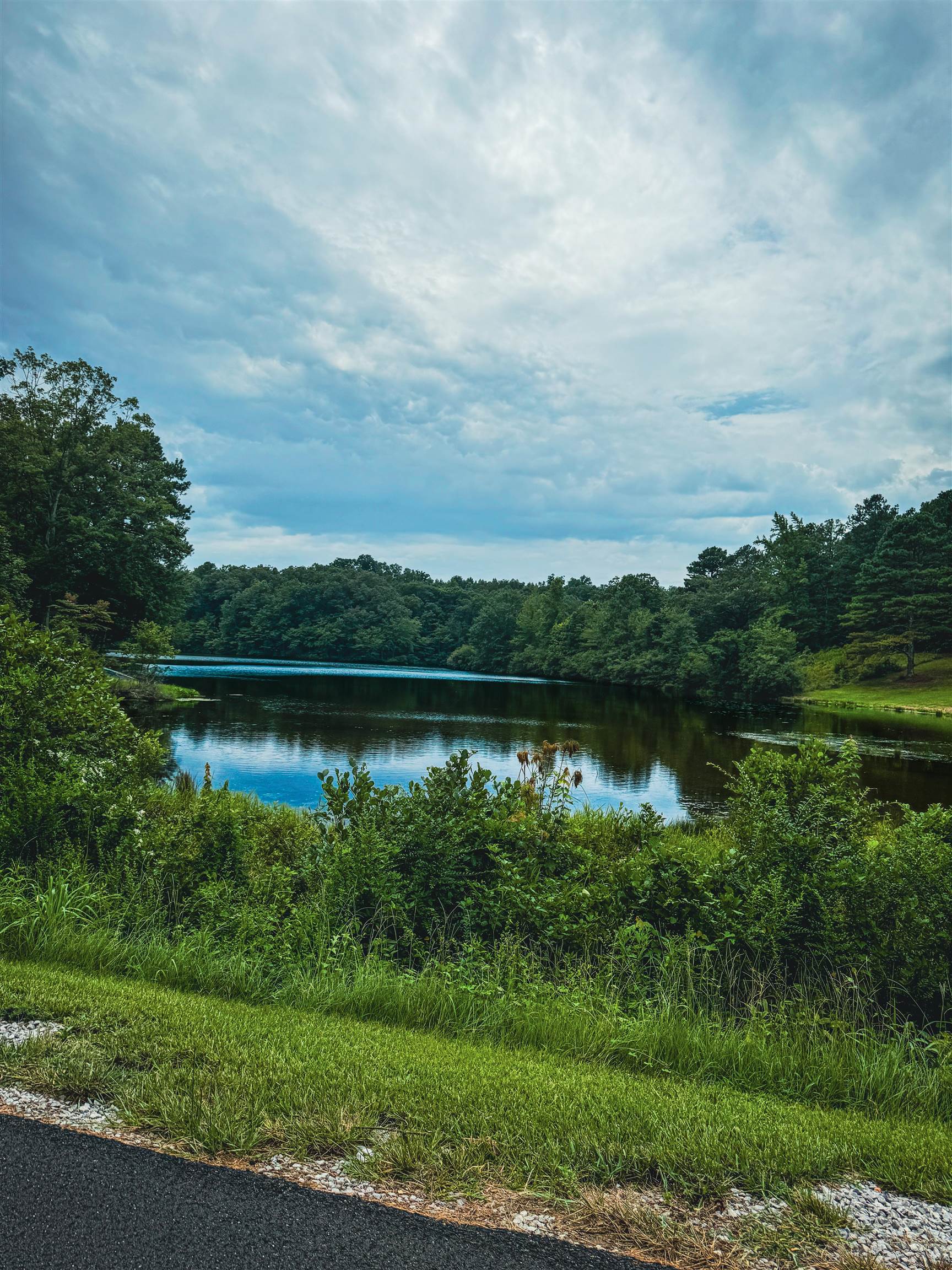 131 Bates Dr, Red Bay, AL 35582 — photo 10